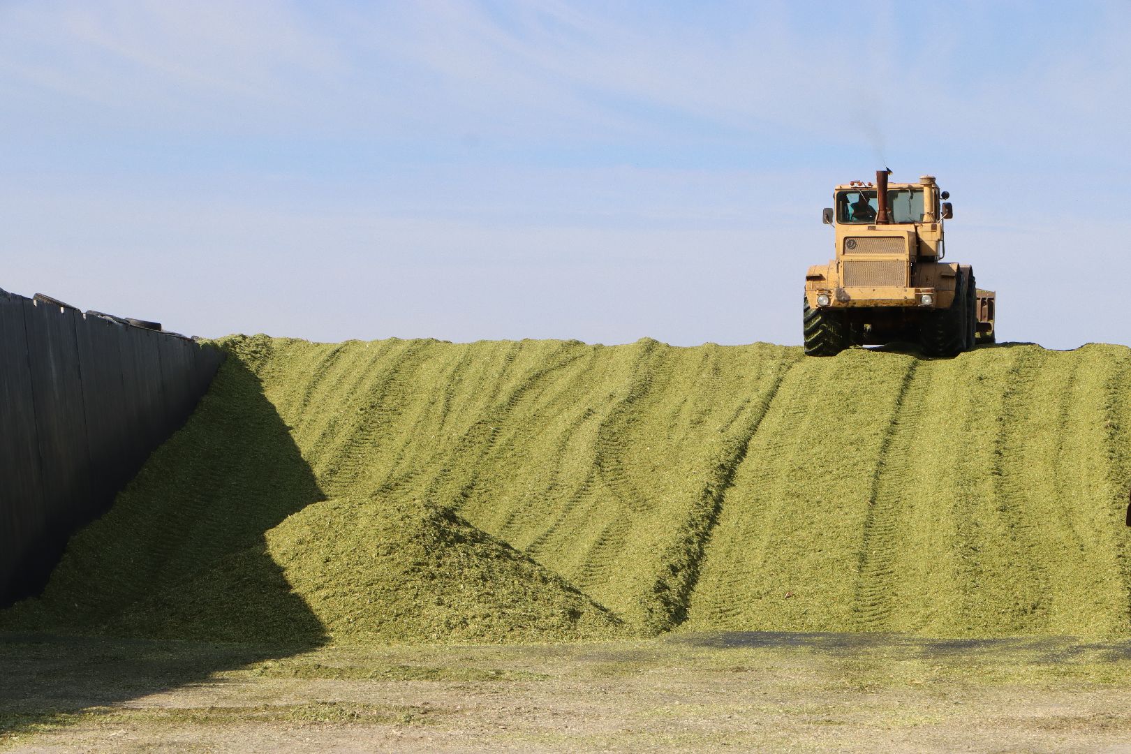 Серебряные Пруды, сельское хозяйство, подмосковье, корм,