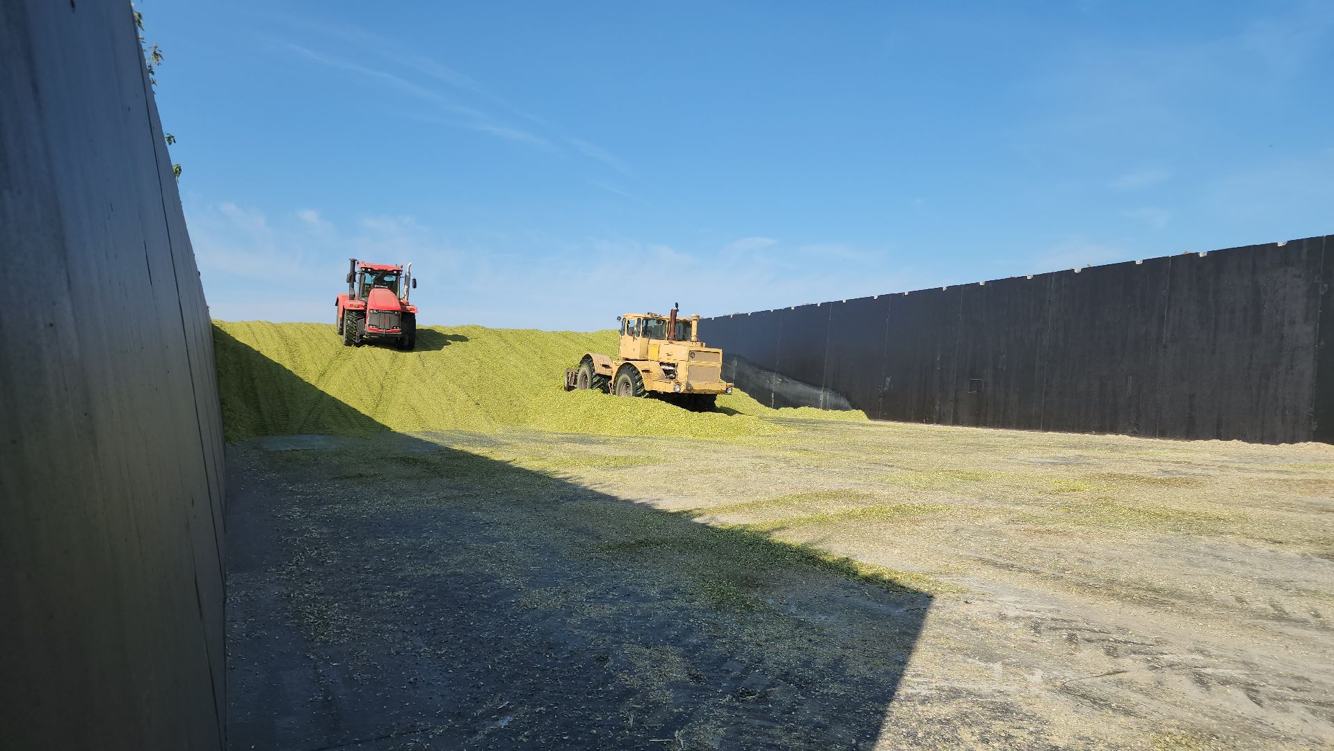 Серебряные Пруды, сельское хозяйство, подмосковье, корм,