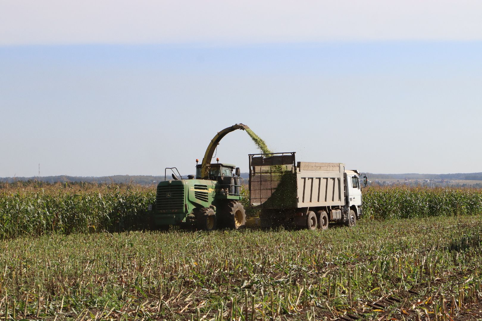 Серебряные Пруды, сельское хозяйство, подмосковье, корм,