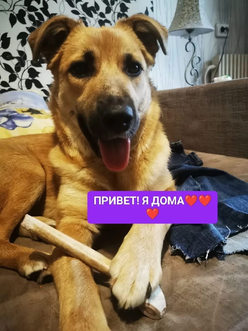 волонтерство,