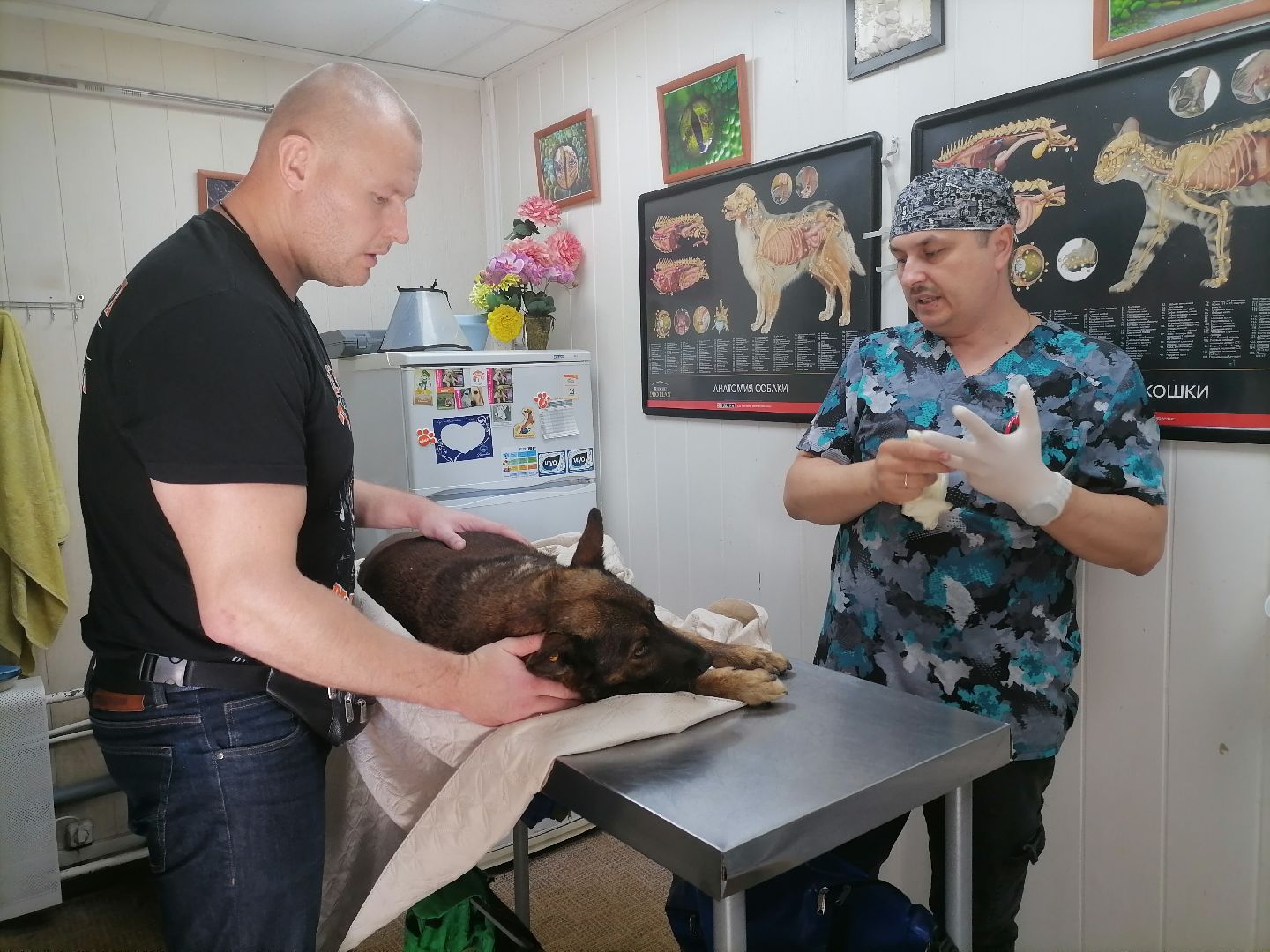 волонтерство,