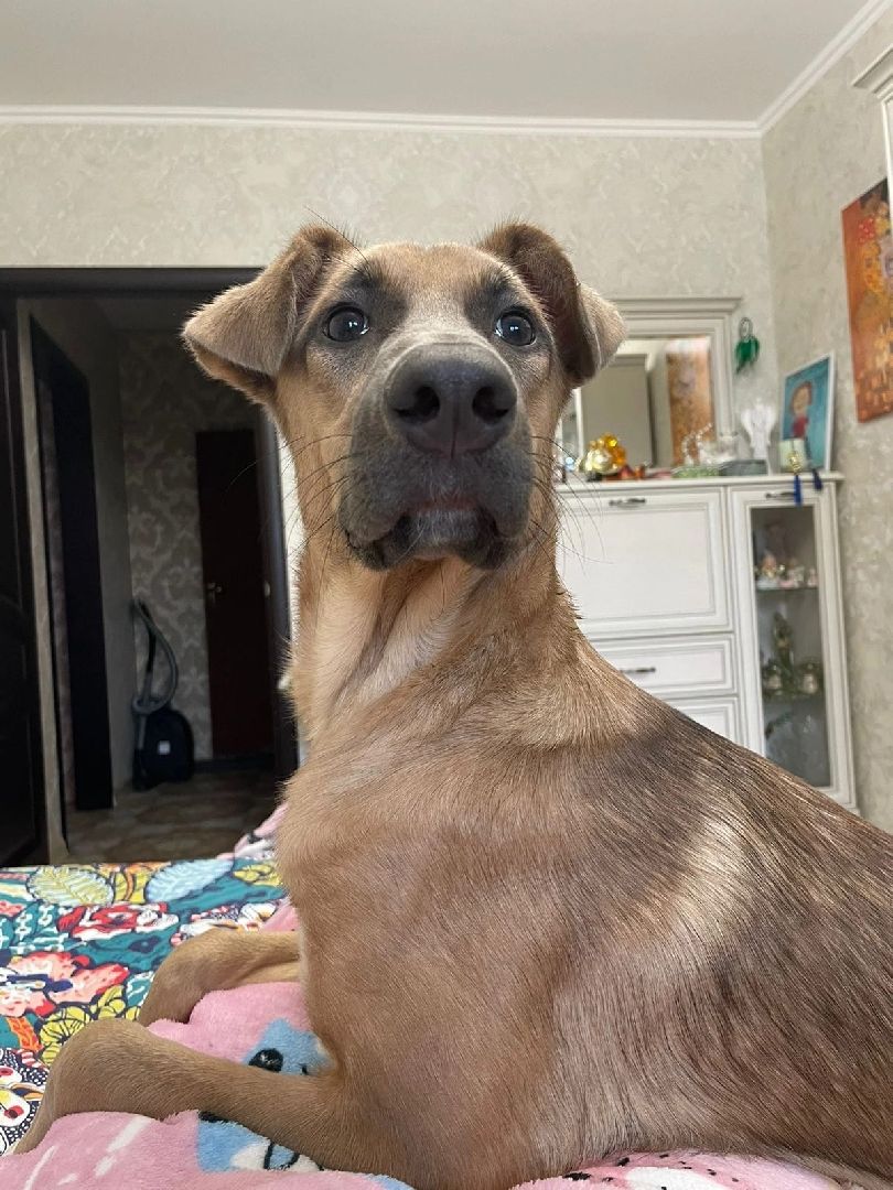 волонтерство,