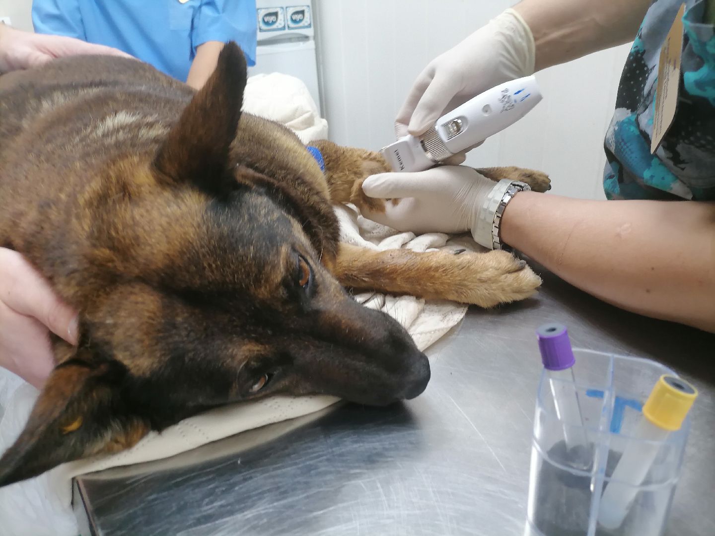 волонтерство,