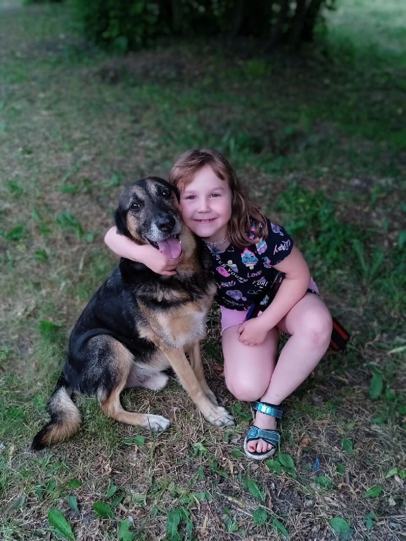 волонтерство,