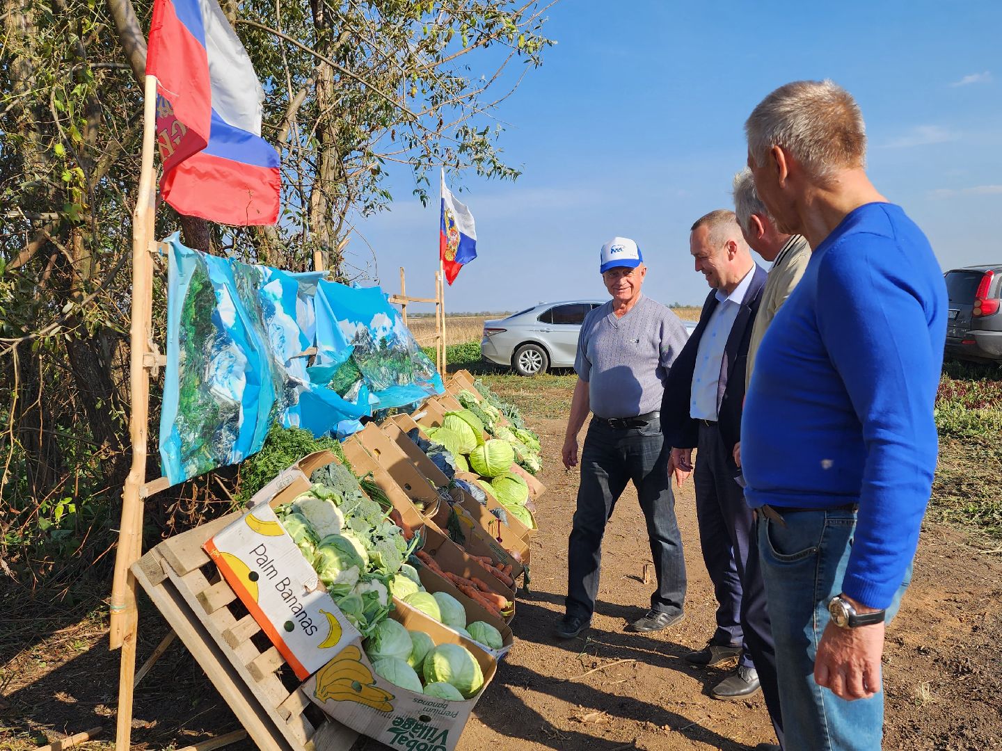 экономика, сельское хозяйство, воскресенск, овощи, урожай,