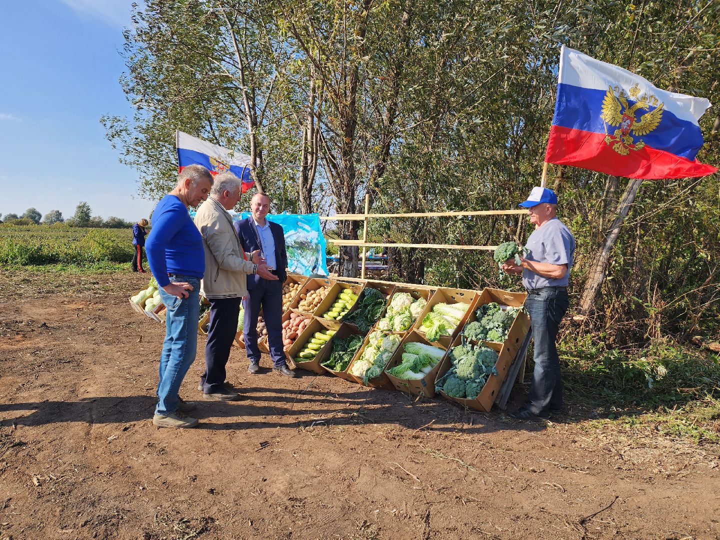 экономика, сельское хозяйство, воскресенск, овощи, урожай,