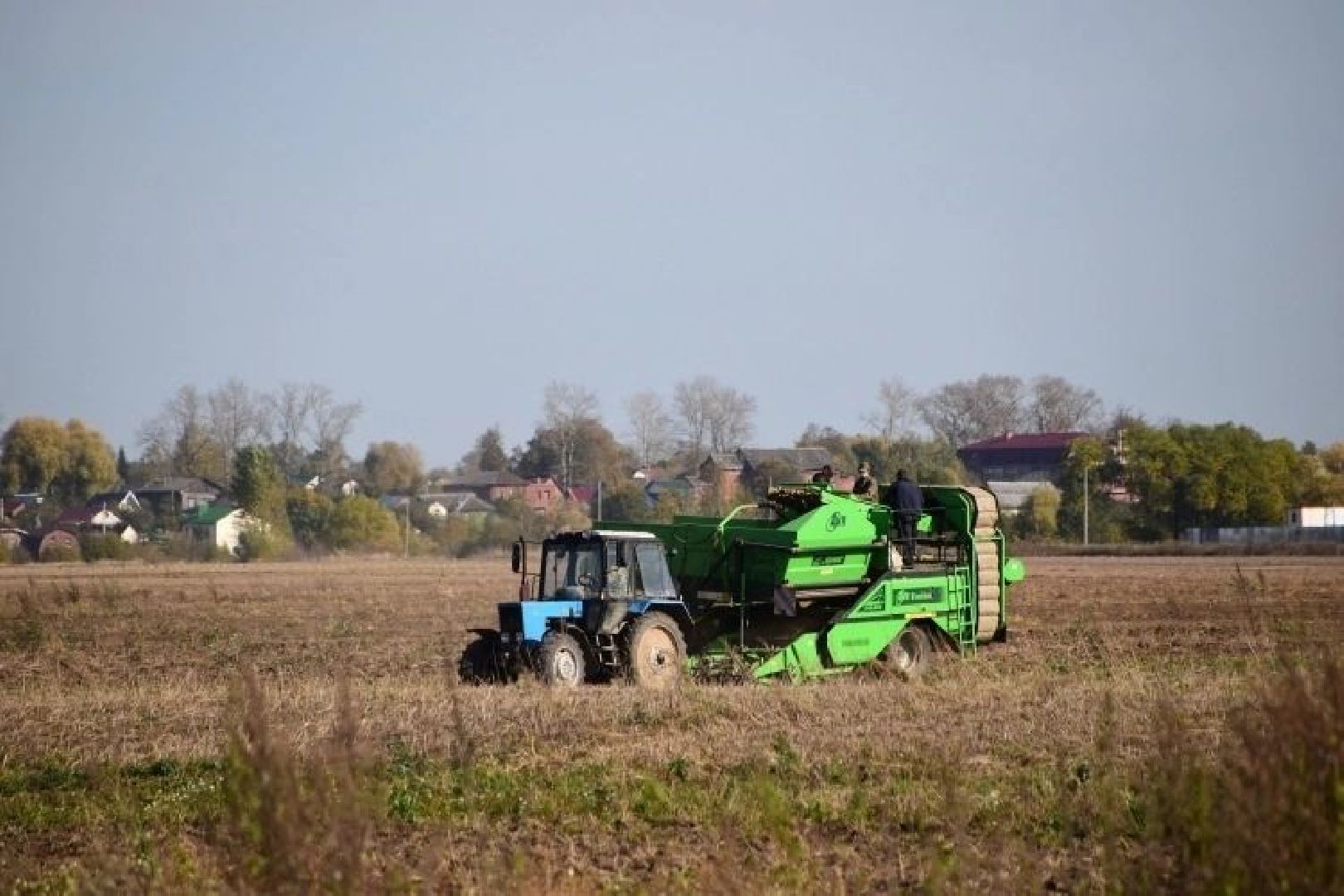 экономика, сельское хозяйство, воскресенск, овощи, урожай,