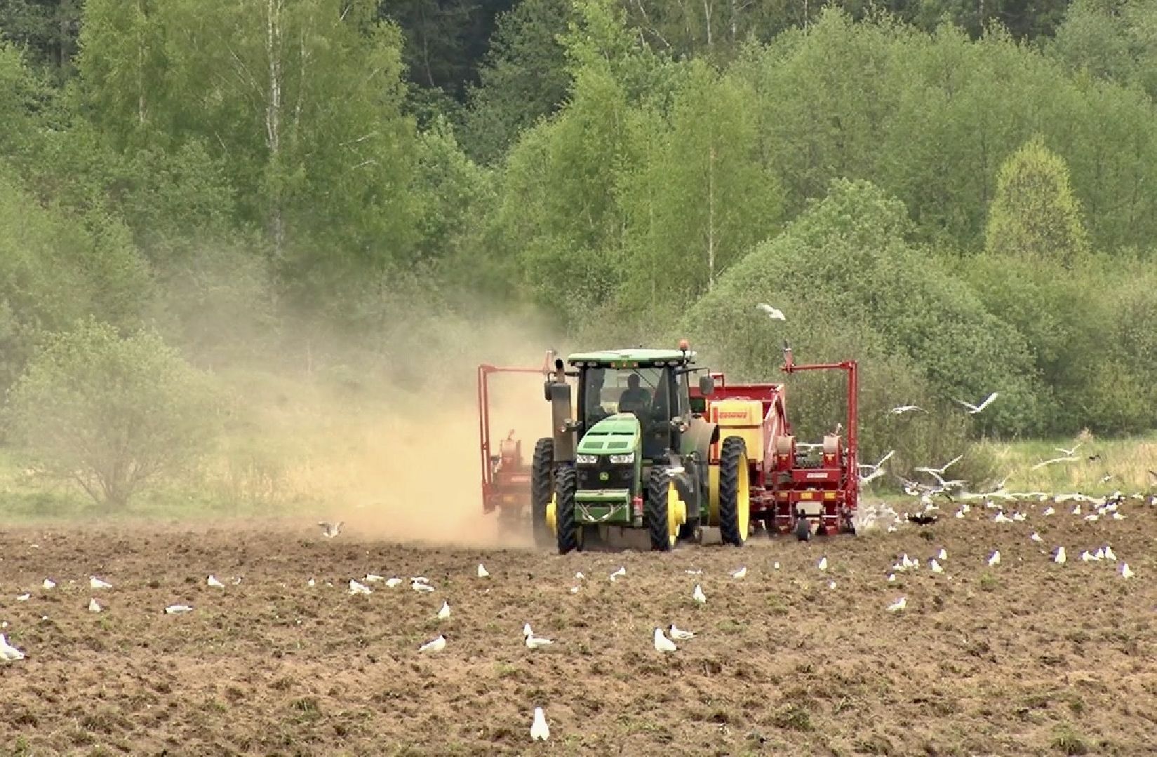 Клин, экономика, фермеры, сельское хозяйство, люди,