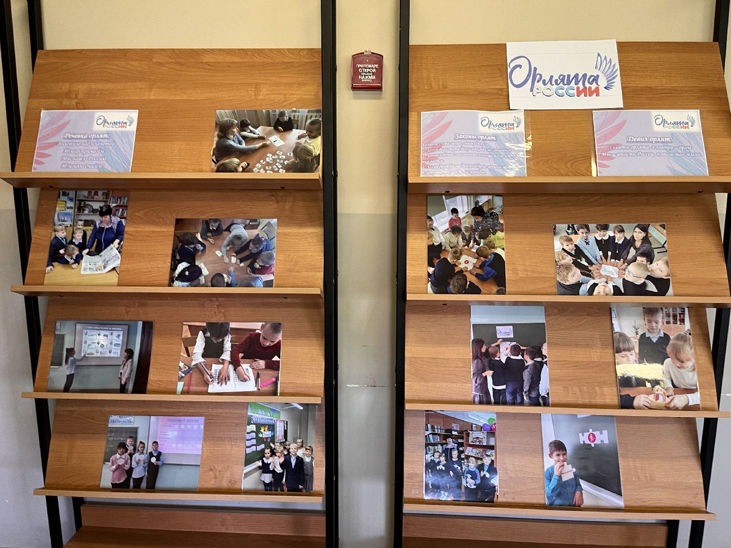 Шаховская, дети, школа, учитель,