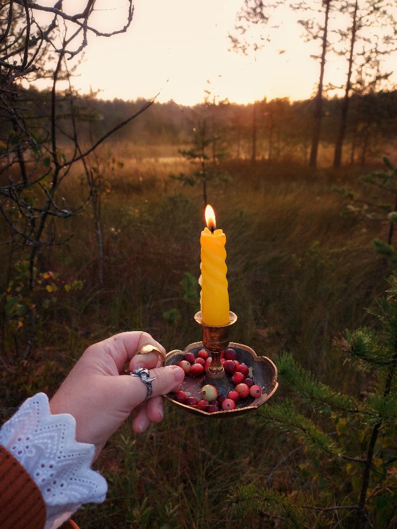 Осеннее равноденствие, Мабон, Осень,Защитный оберег,благополучие, здоровье, красота, деньги, удача, ворожба, колдовство, ведьма, ведунья, таролог, рябина, чай, сила, предсказания,