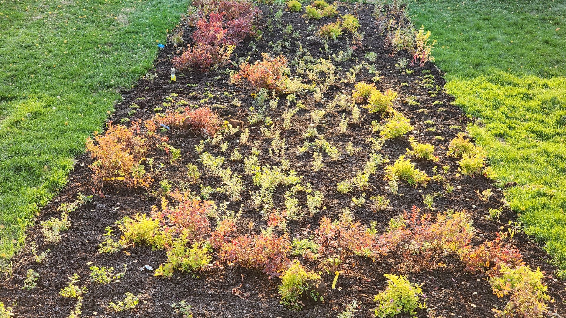 благоустройство, озеленение,