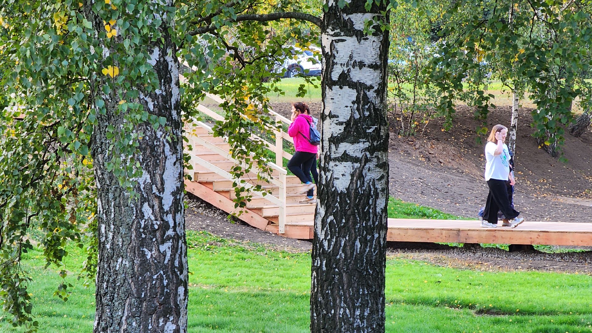 благоустройство, озеленение,