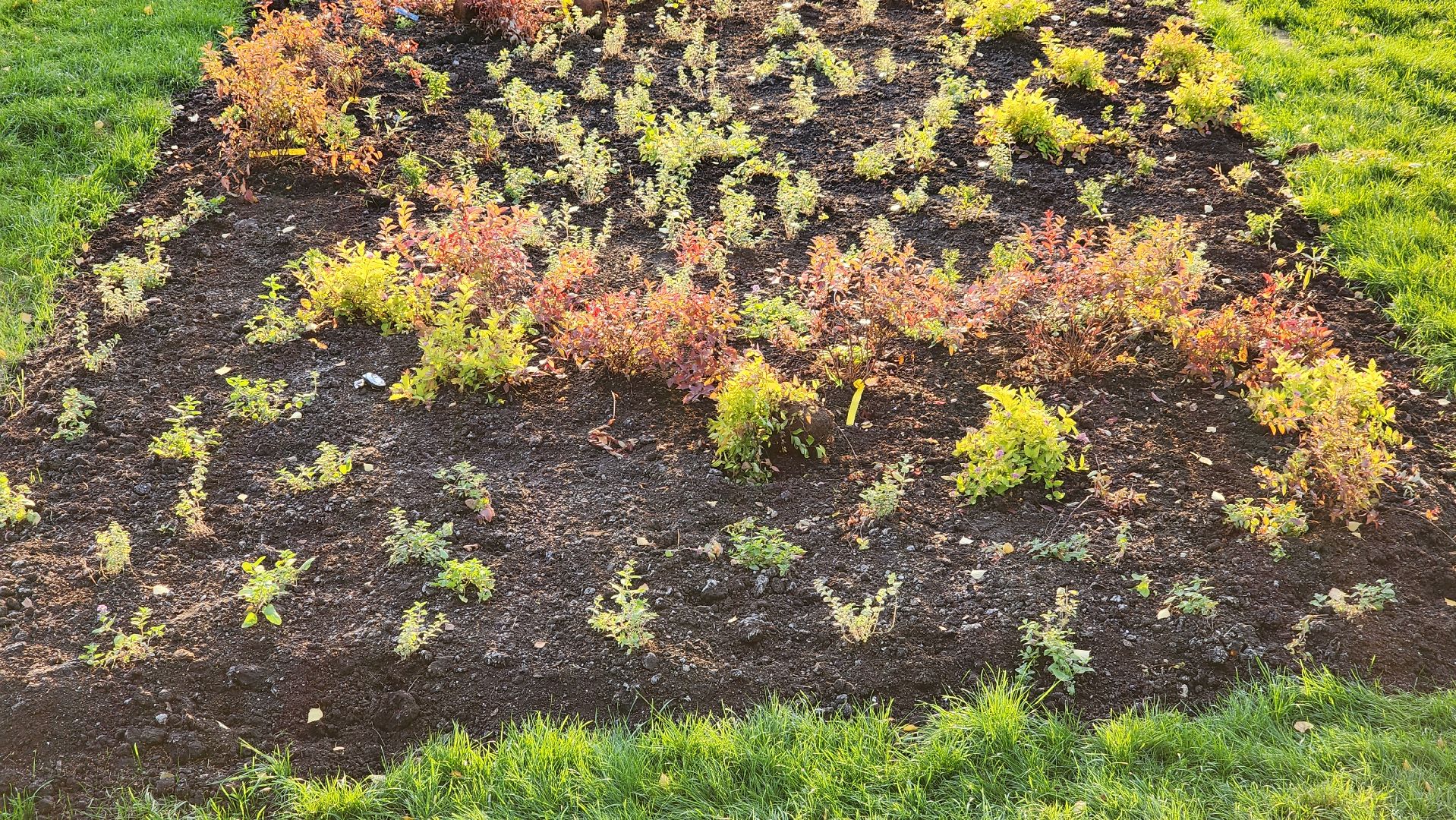 благоустройство, озеленение,