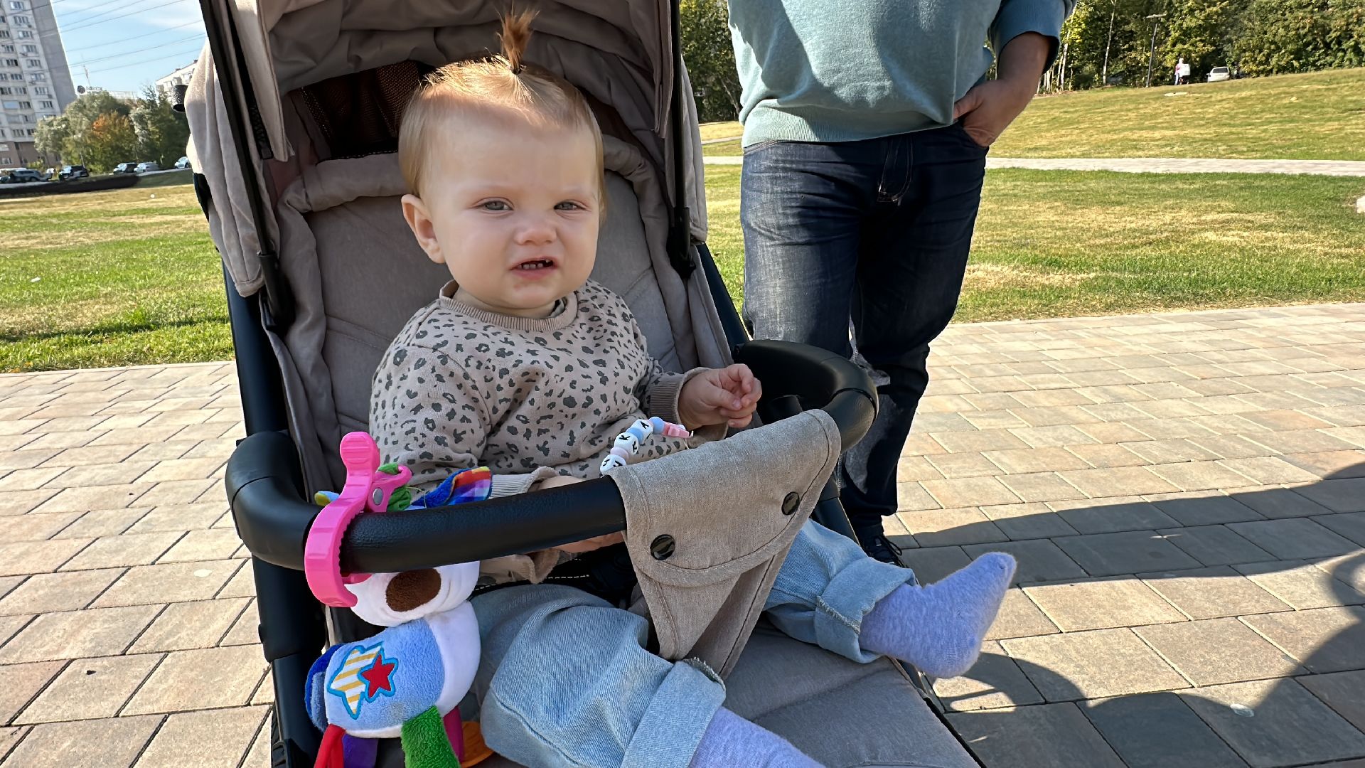 Одинцово, Благоустройство, Экология, Озеленение, Парк Союзный,