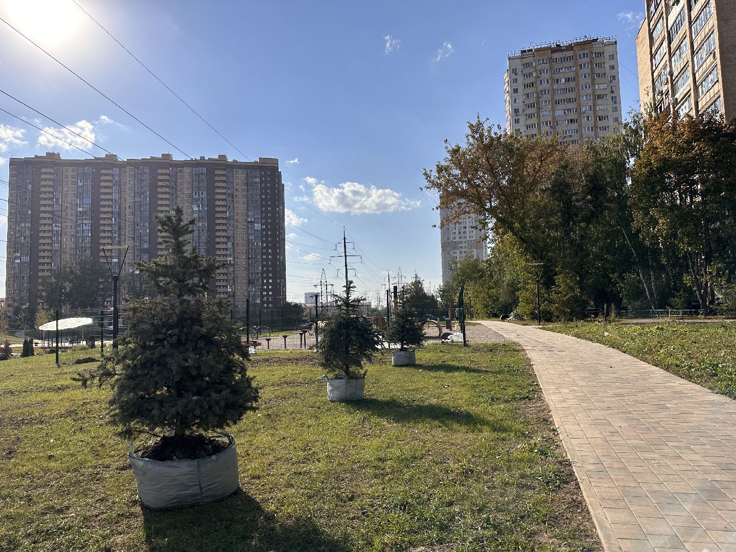 Одинцово, Благоустройство, Экология, Озеленение, Парк Союзный,