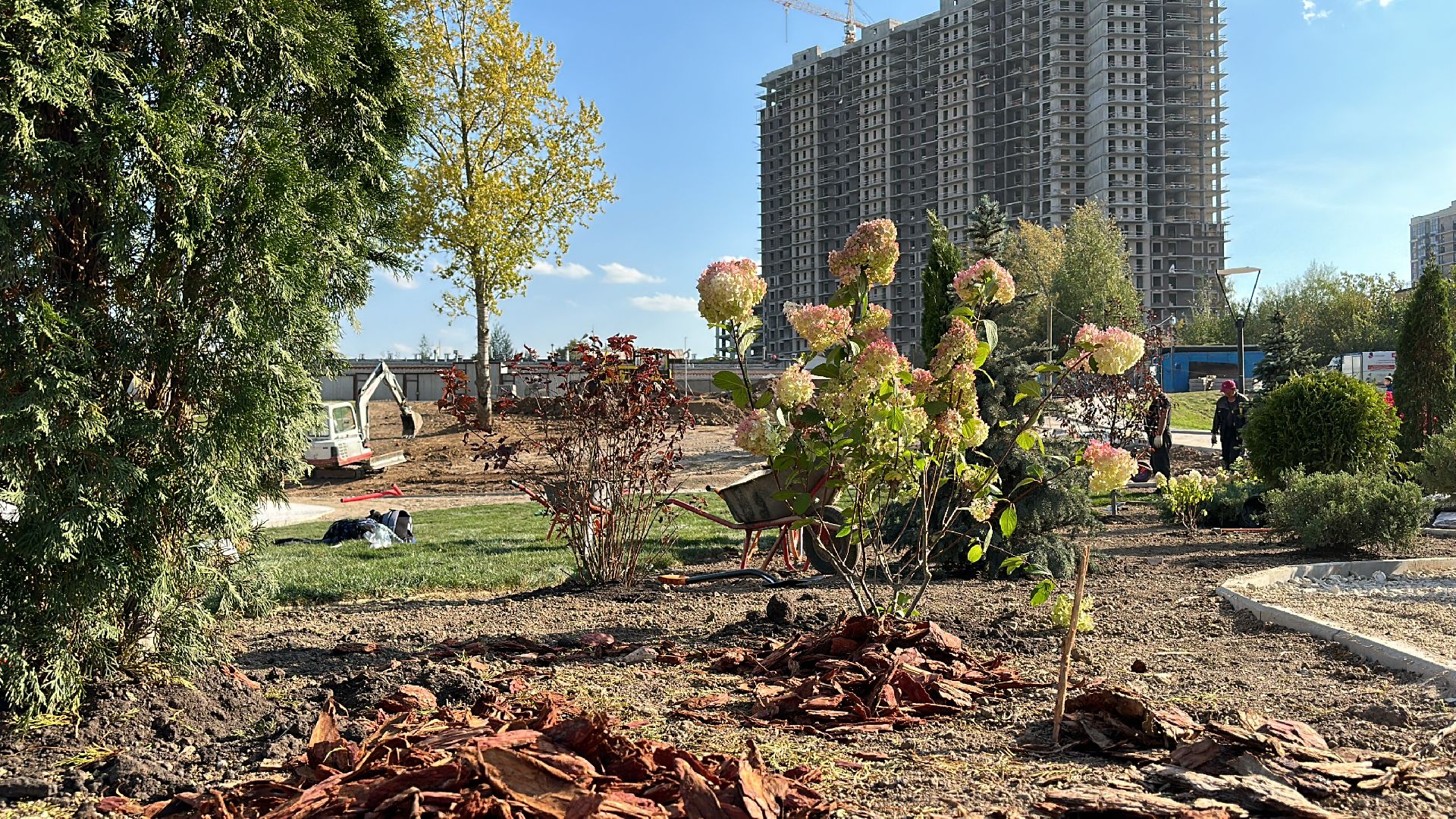 Одинцово, Благоустройство, Экология, Озеленение, Парк Союзный,