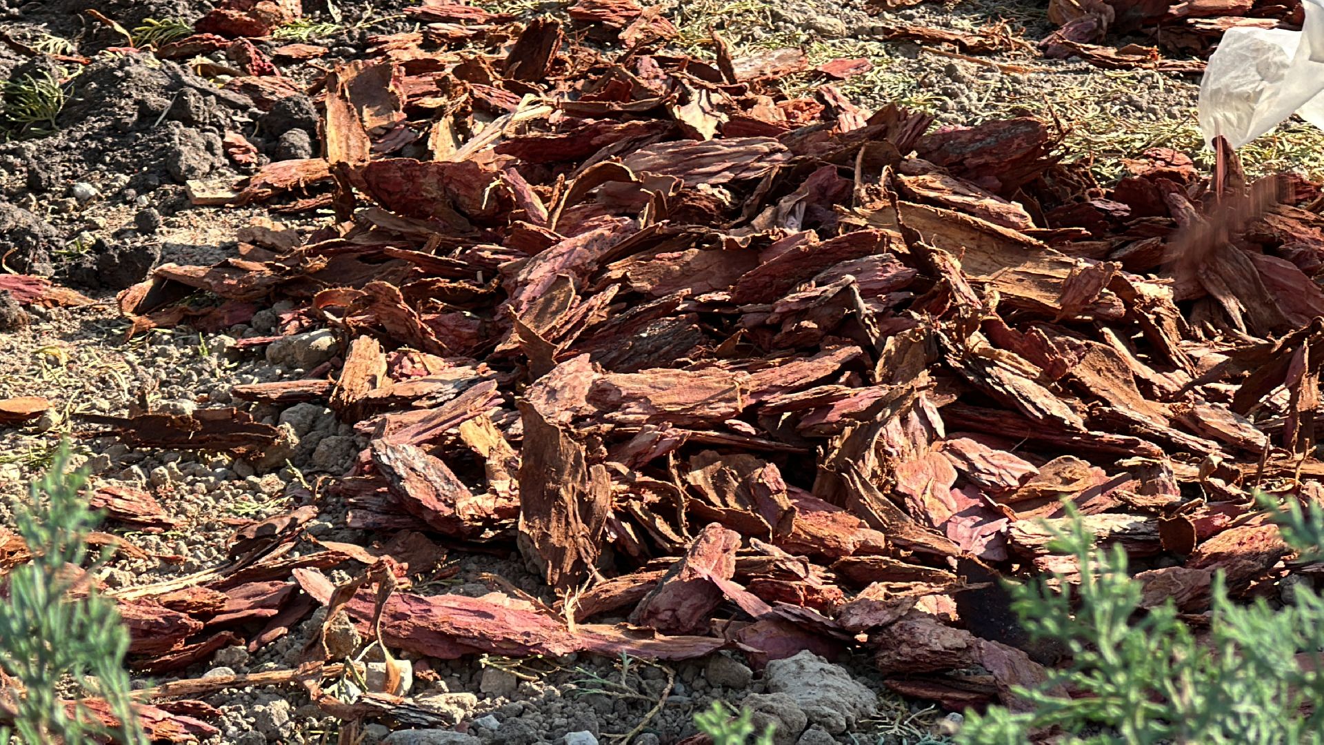Одинцово, Благоустройство, Экология, Озеленение, Парк Союзный,