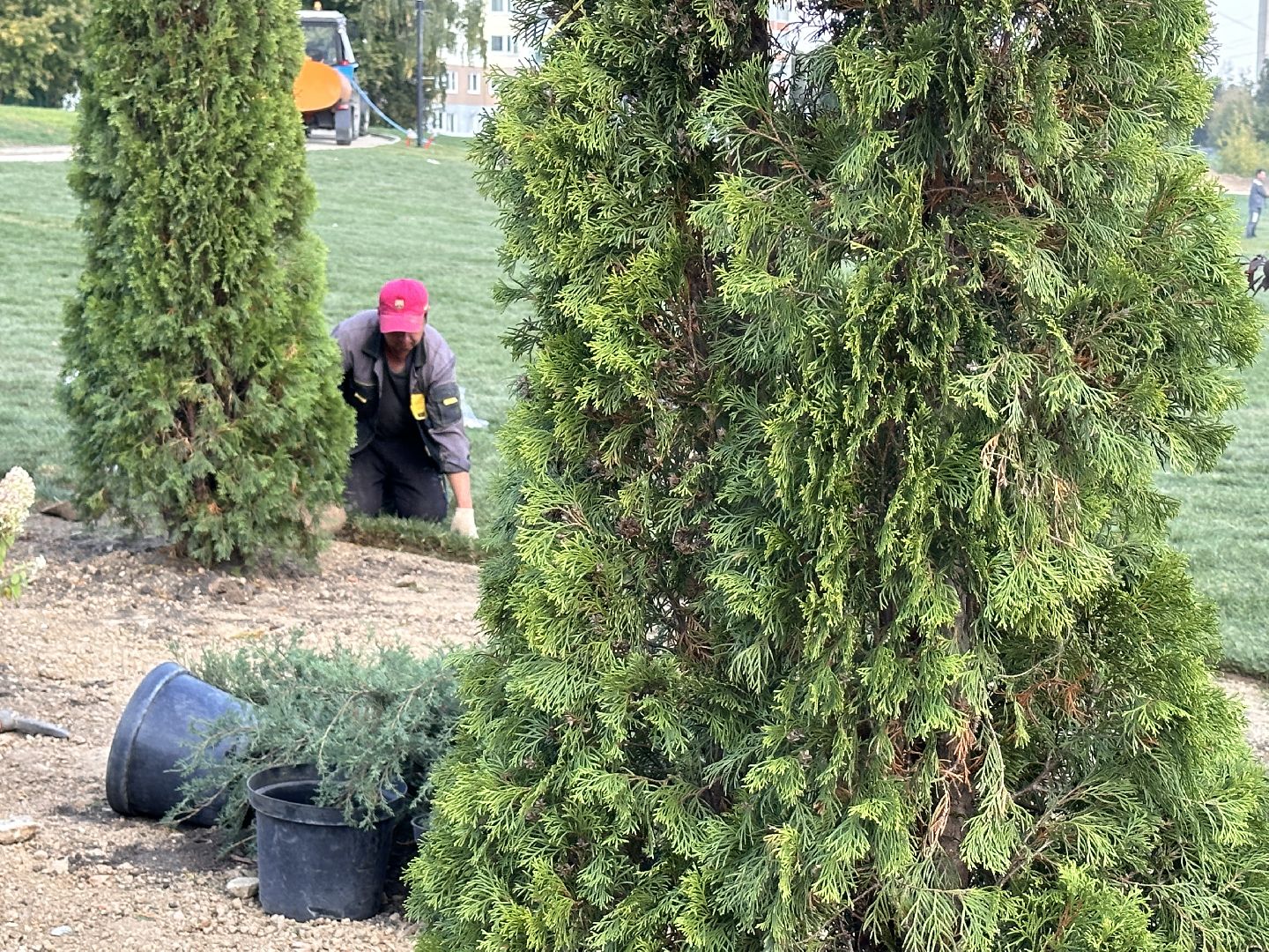 Одинцово, Благоустройство, Экология, Озеленение, Парк Союзный,