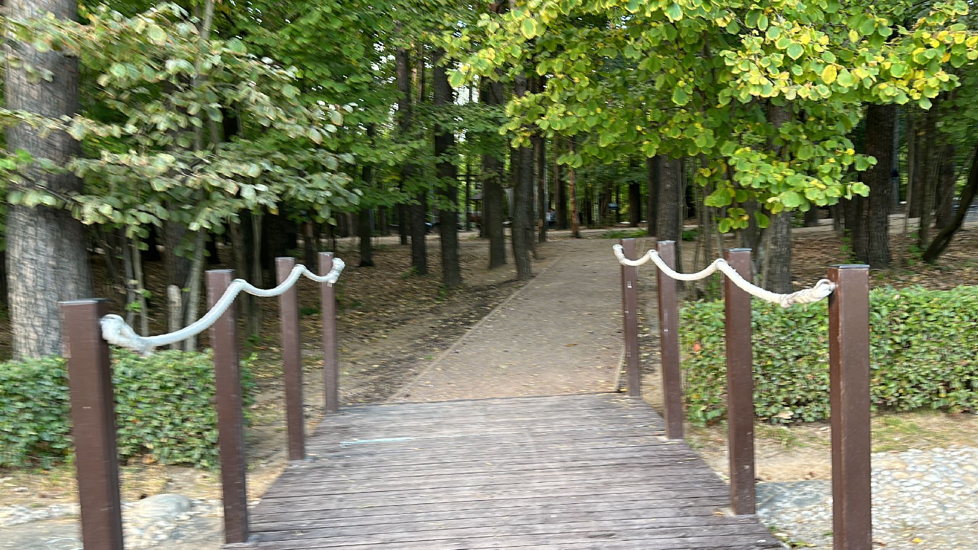 Одинцово, Лайм, клещевой энцефалит,