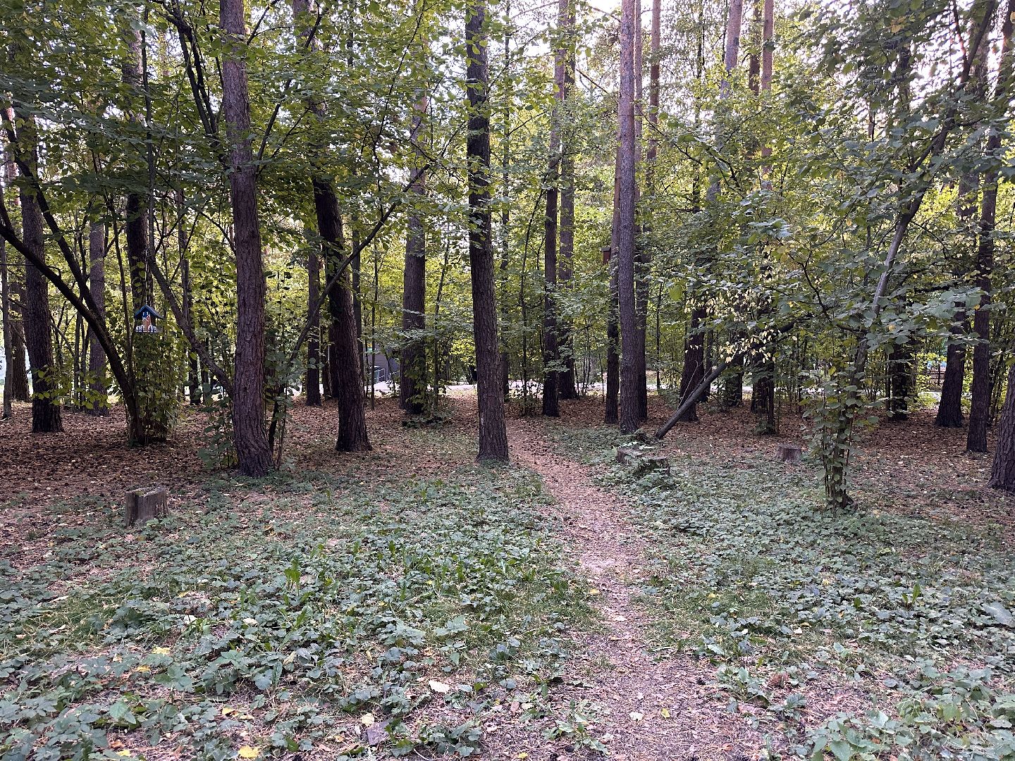 Одинцово, Лайм, клещевой энцефалит,