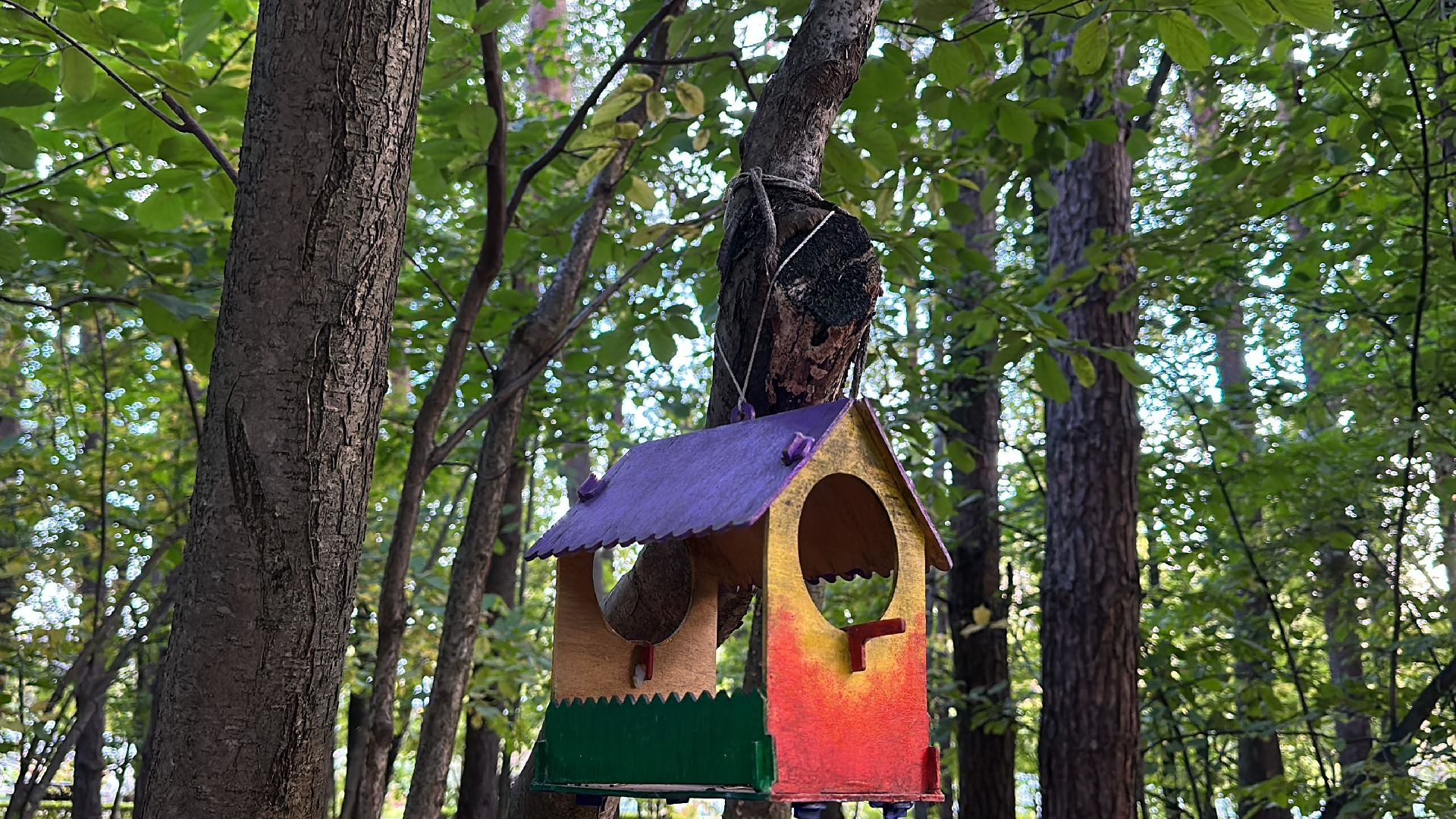 Одинцово, Лайм, клещевой энцефалит,