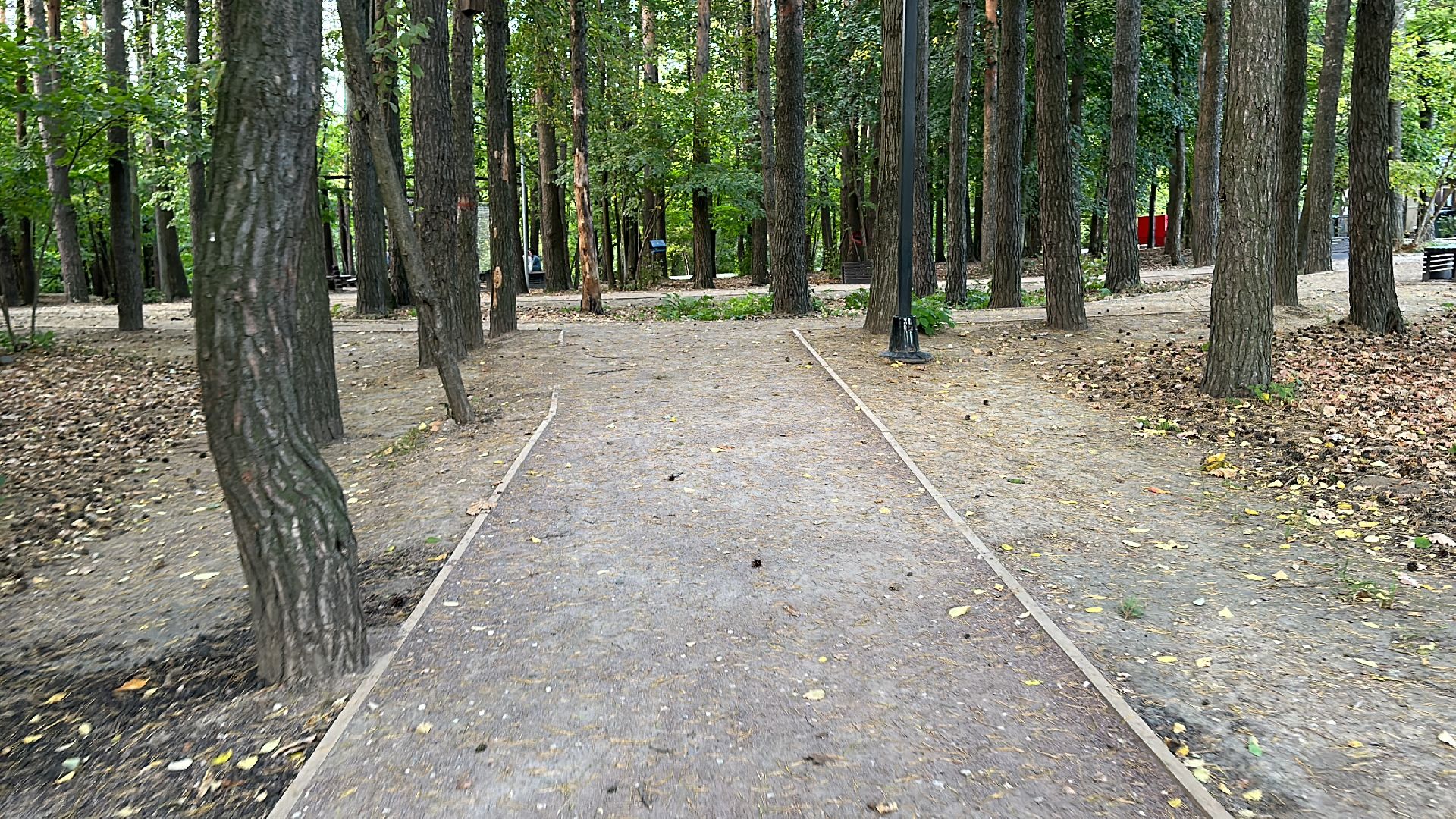 Одинцово, Лайм, клещевой энцефалит,