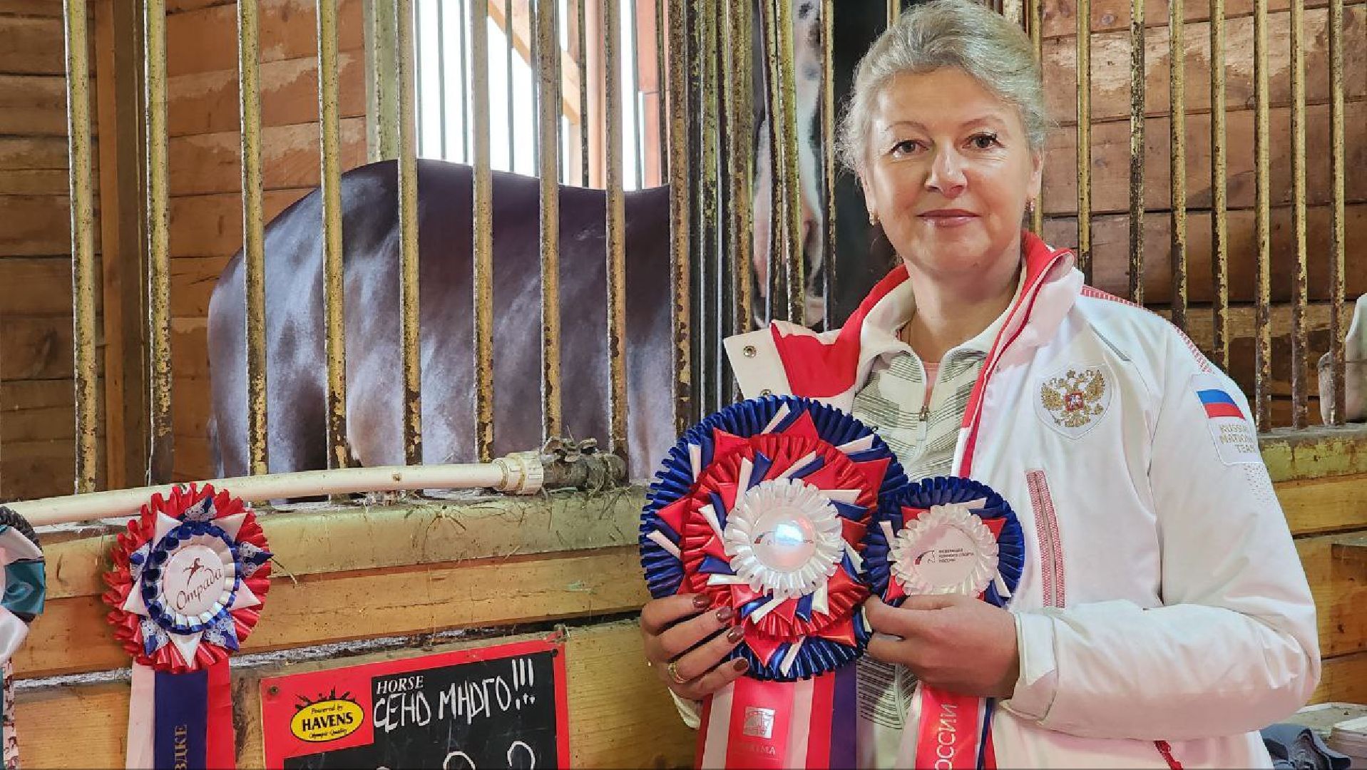 Дмитров, Максима парк, Чемпионат России по выездке,