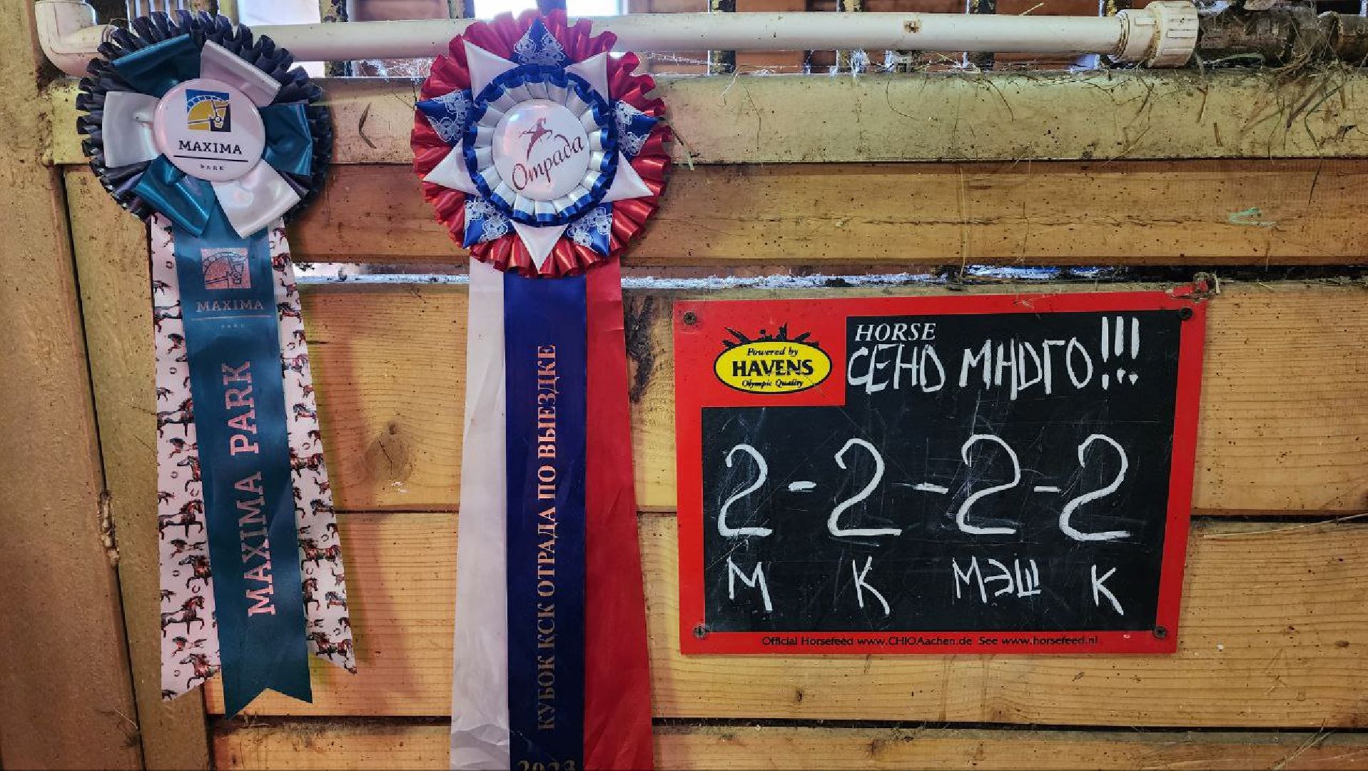 Дмитров, Максима парк, Чемпионат России по выездке,