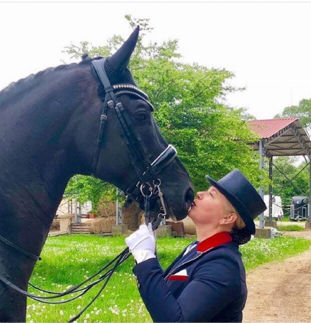 Дмитров, Максима парк, Чемпионат России по выездке,