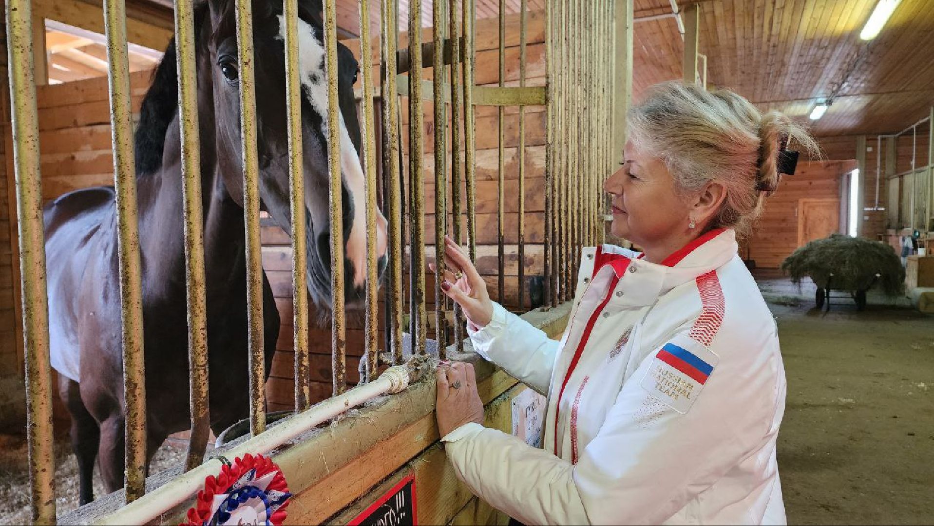 Дмитров, Максима парк, Чемпионат России по выездке,
