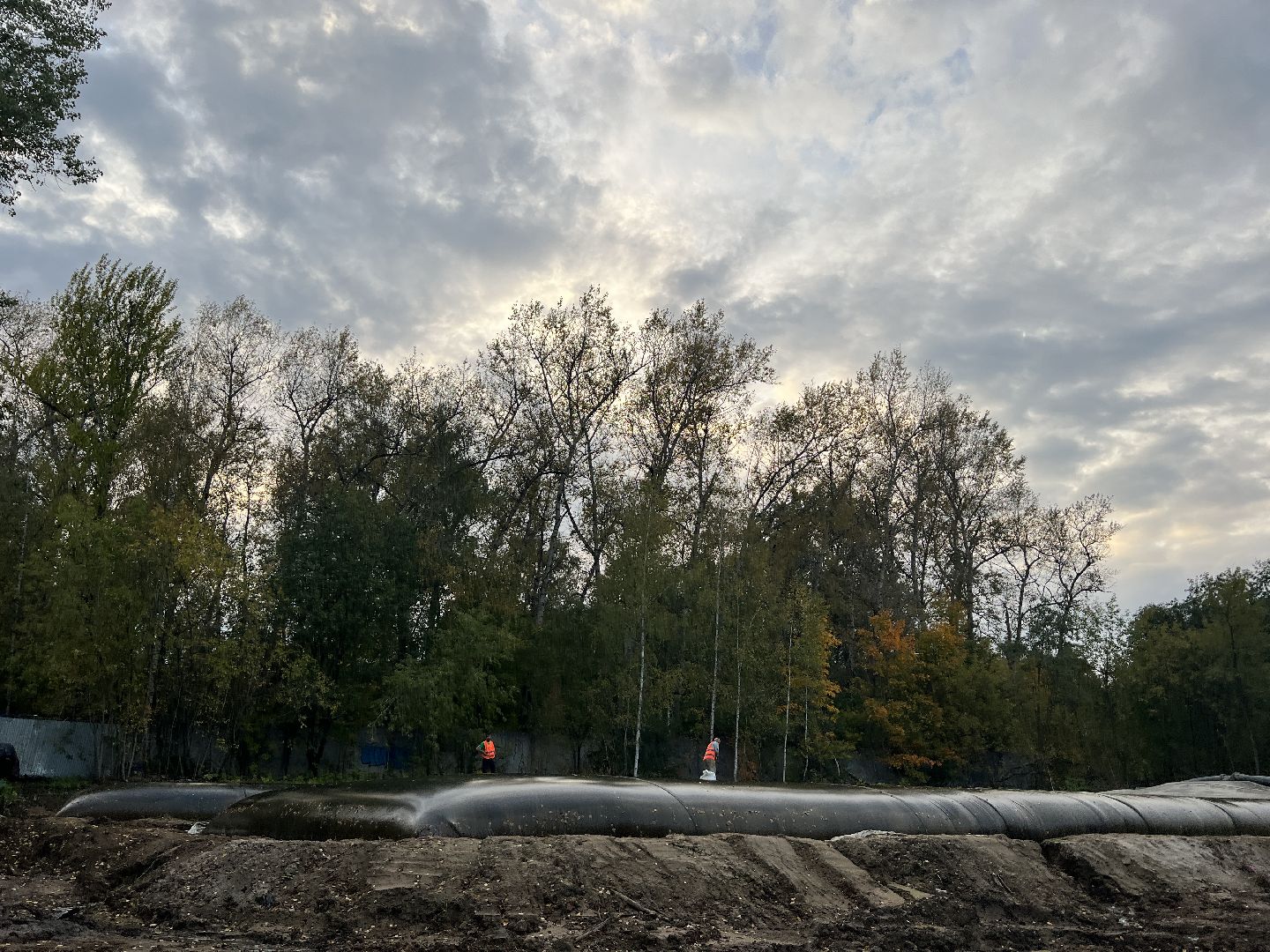 химки, благоуйстройство, река, очистка реки,