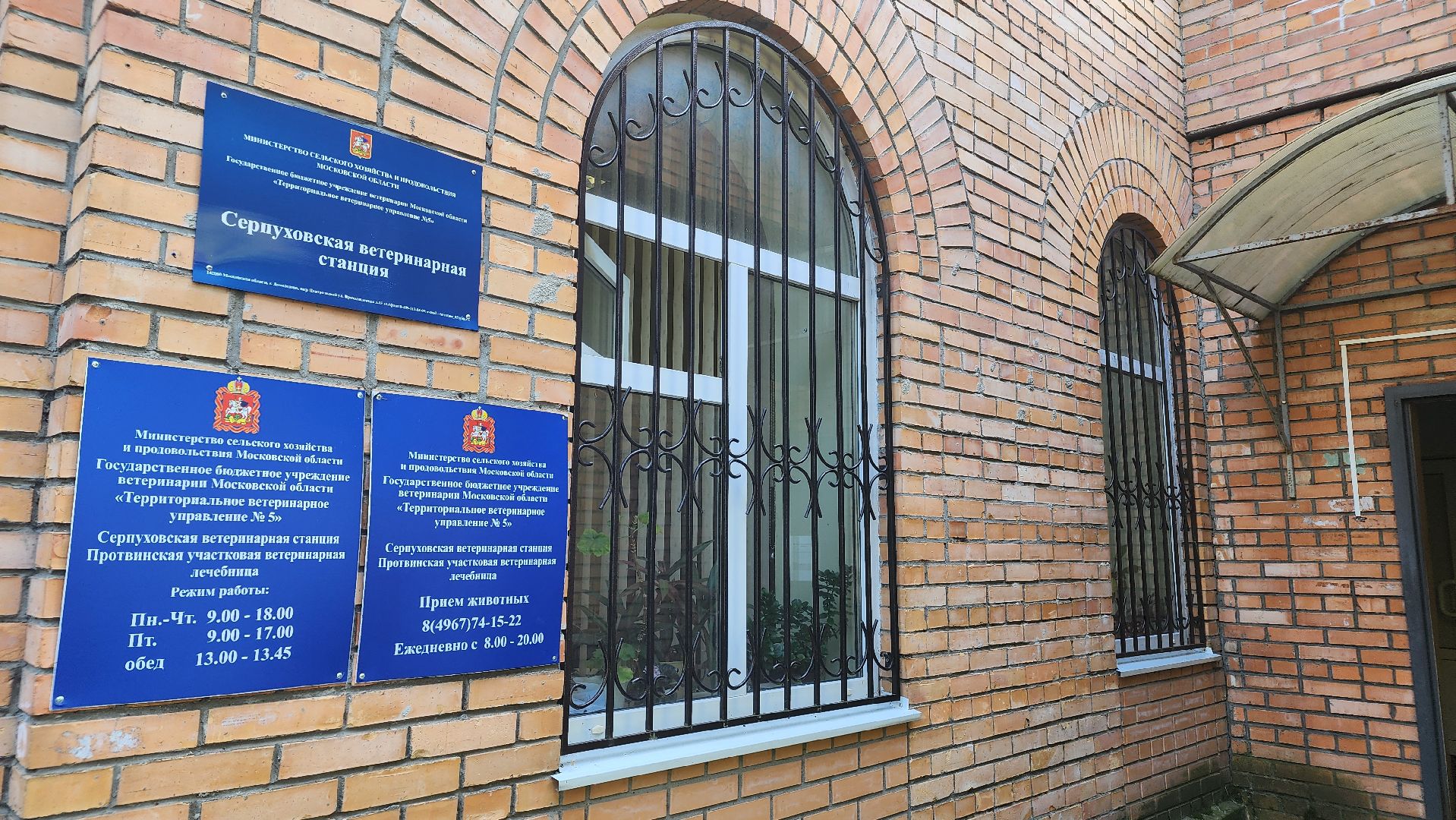 ветеринария, пироплазмоз, клещи, подмосковье, протвино,