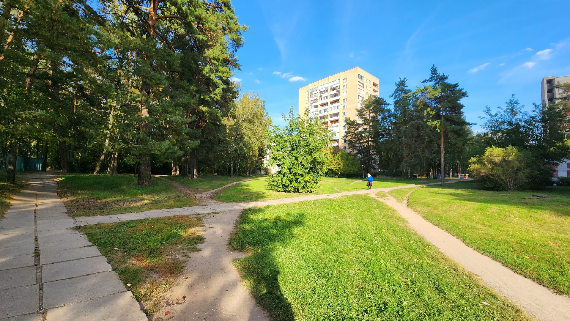 ветеринария, пироплазмоз, клещи, подмосковье, протвино,