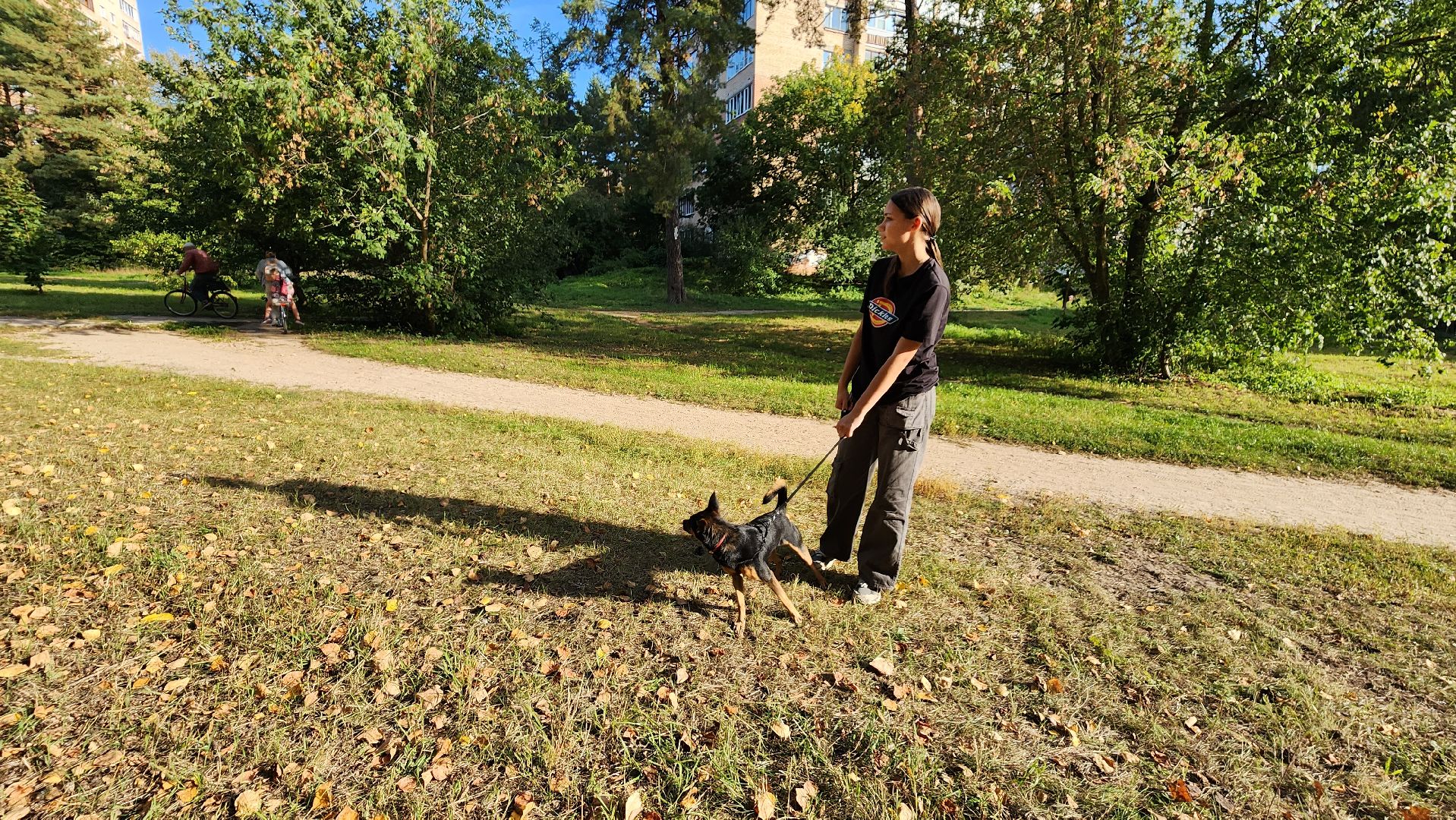 ветеринария, пироплазмоз, клещи, подмосковье, протвино,