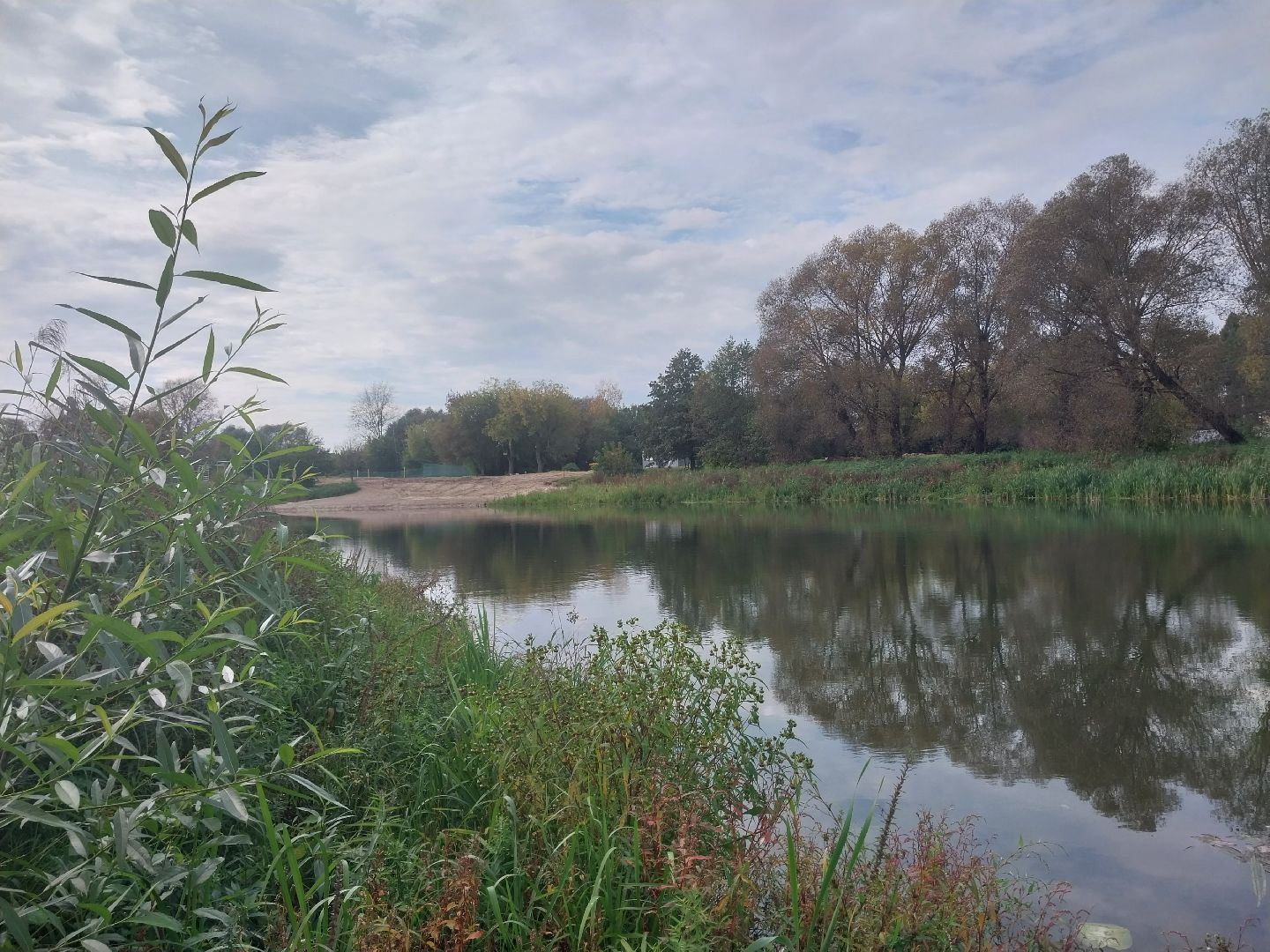 Коломна, благоустойство, зона отдыха, пляж,