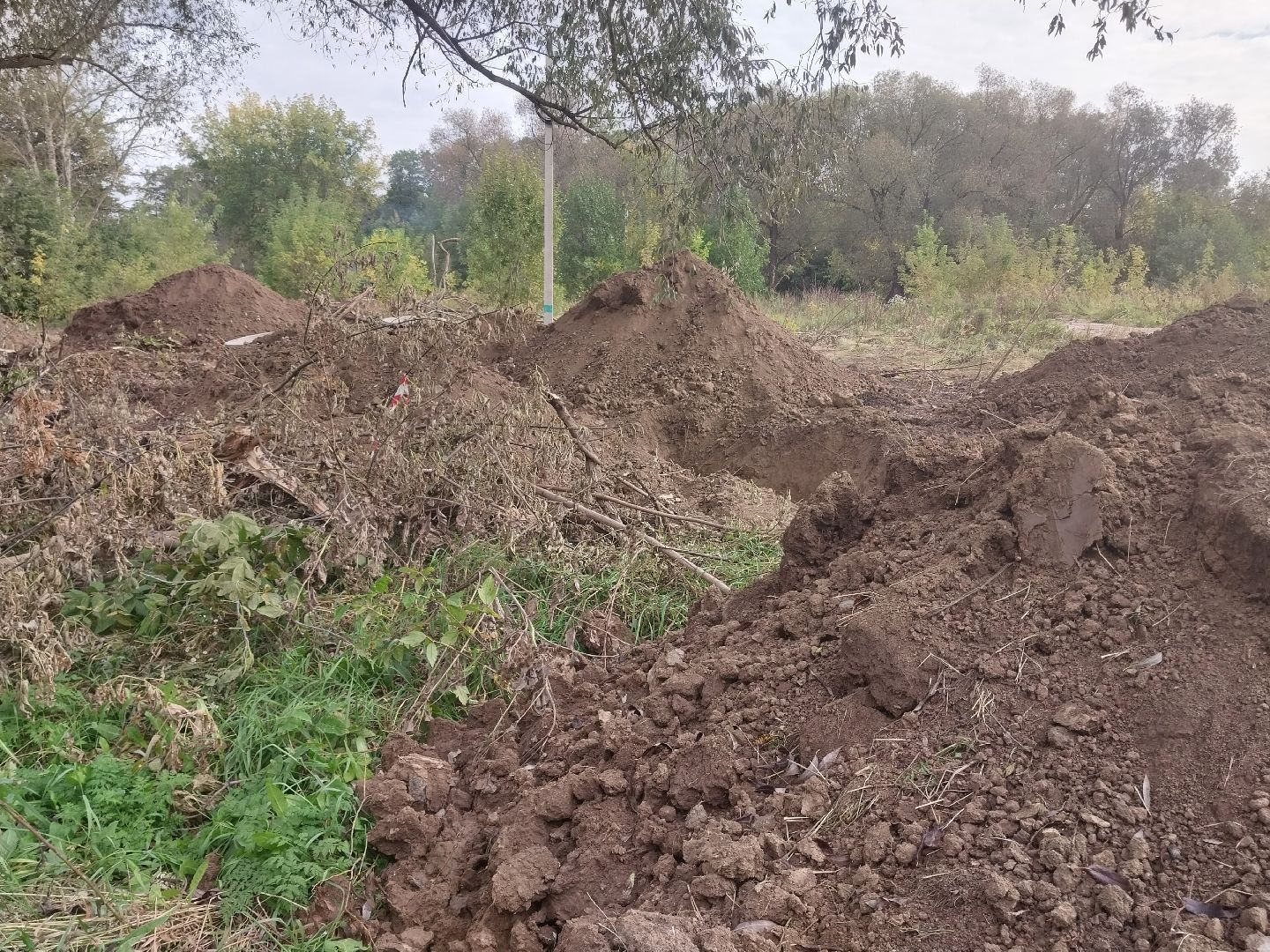 Коломна, благоустойство, зона отдыха, пляж,