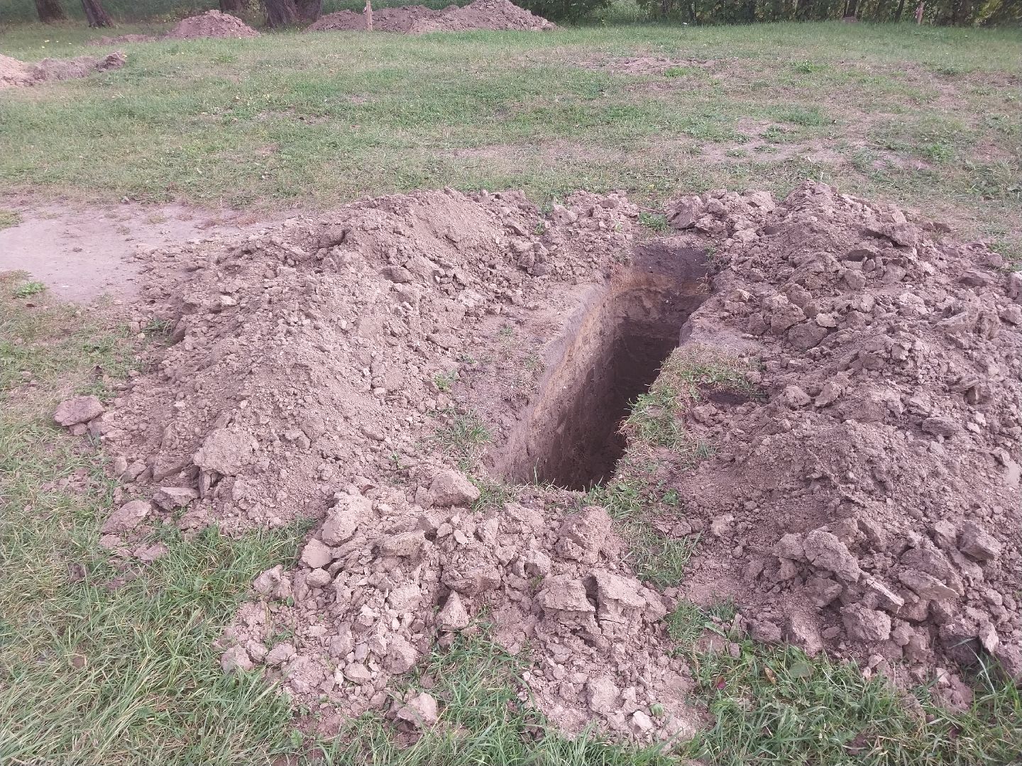 Коломна, благоустойство, зона отдыха, пляж,