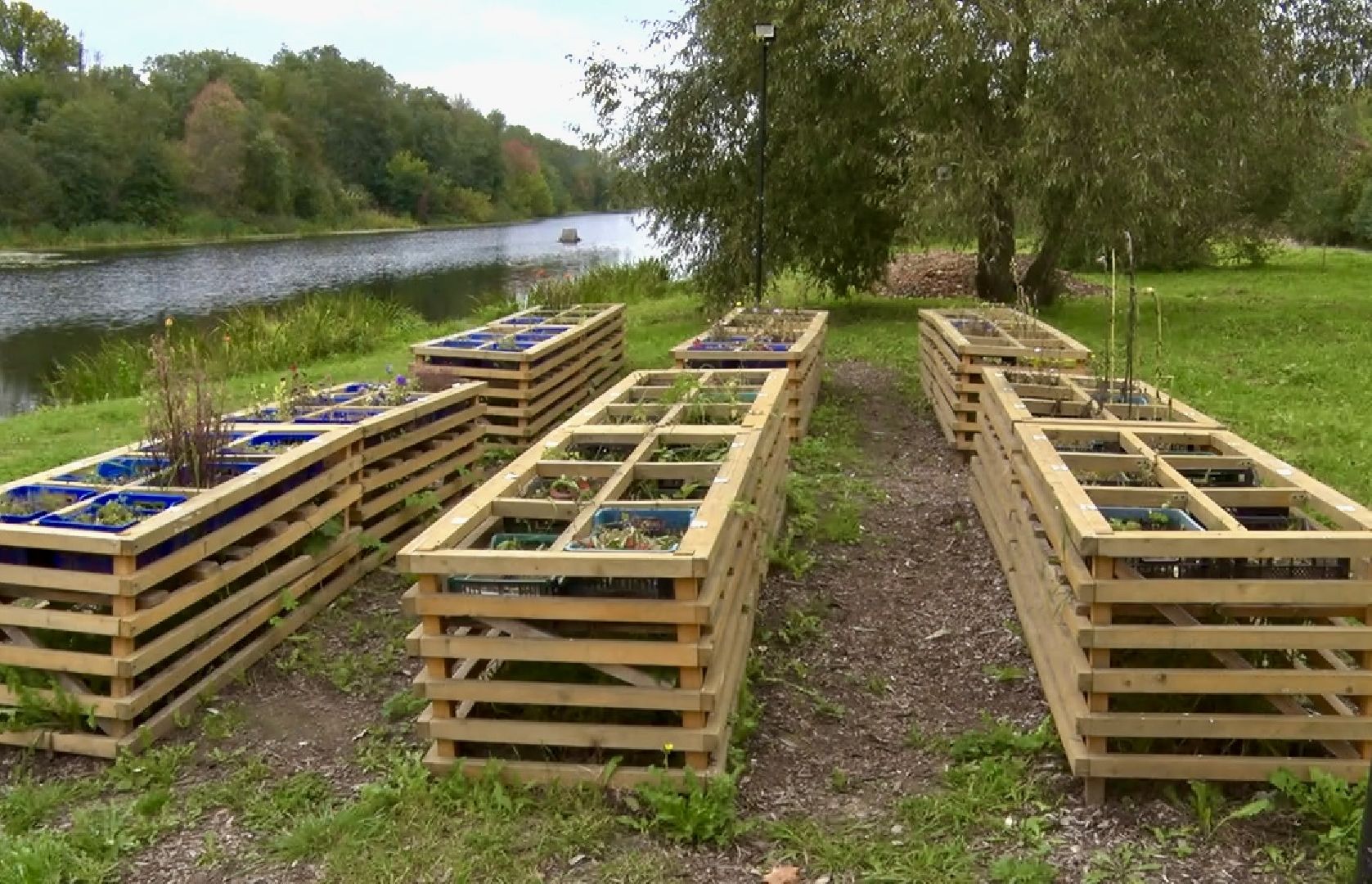 Клин, общество, парки, благоуйстройство,