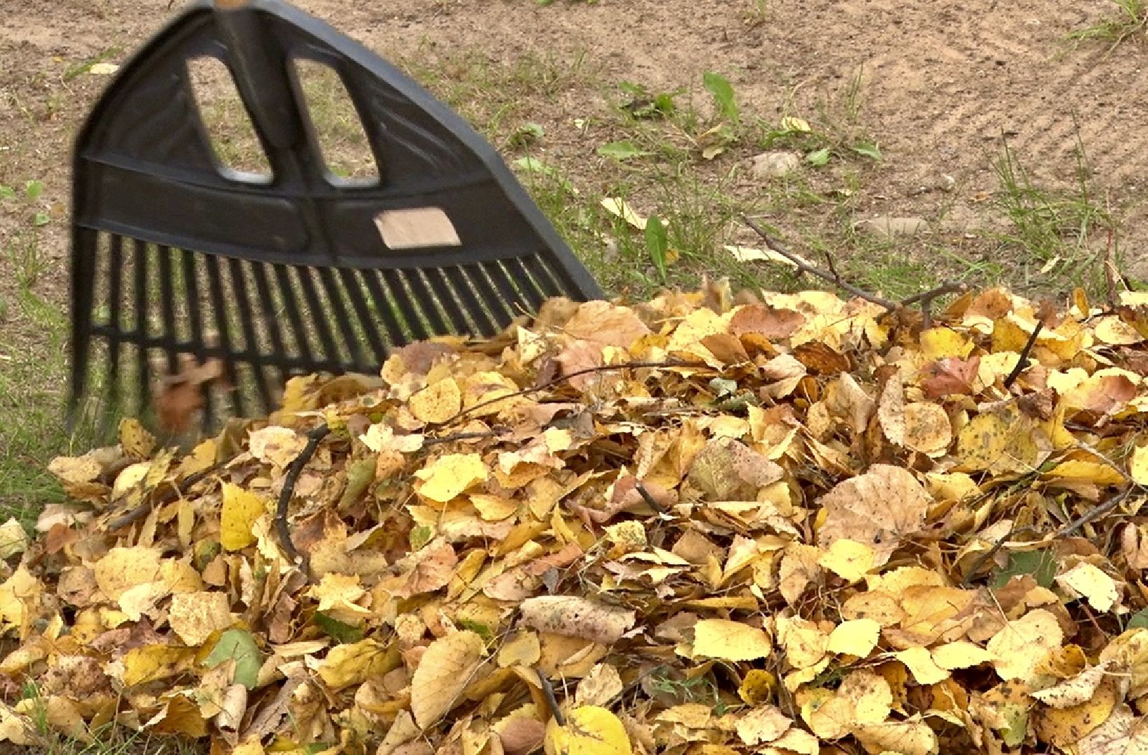 Клин, общество, парки, благоуйстройство,