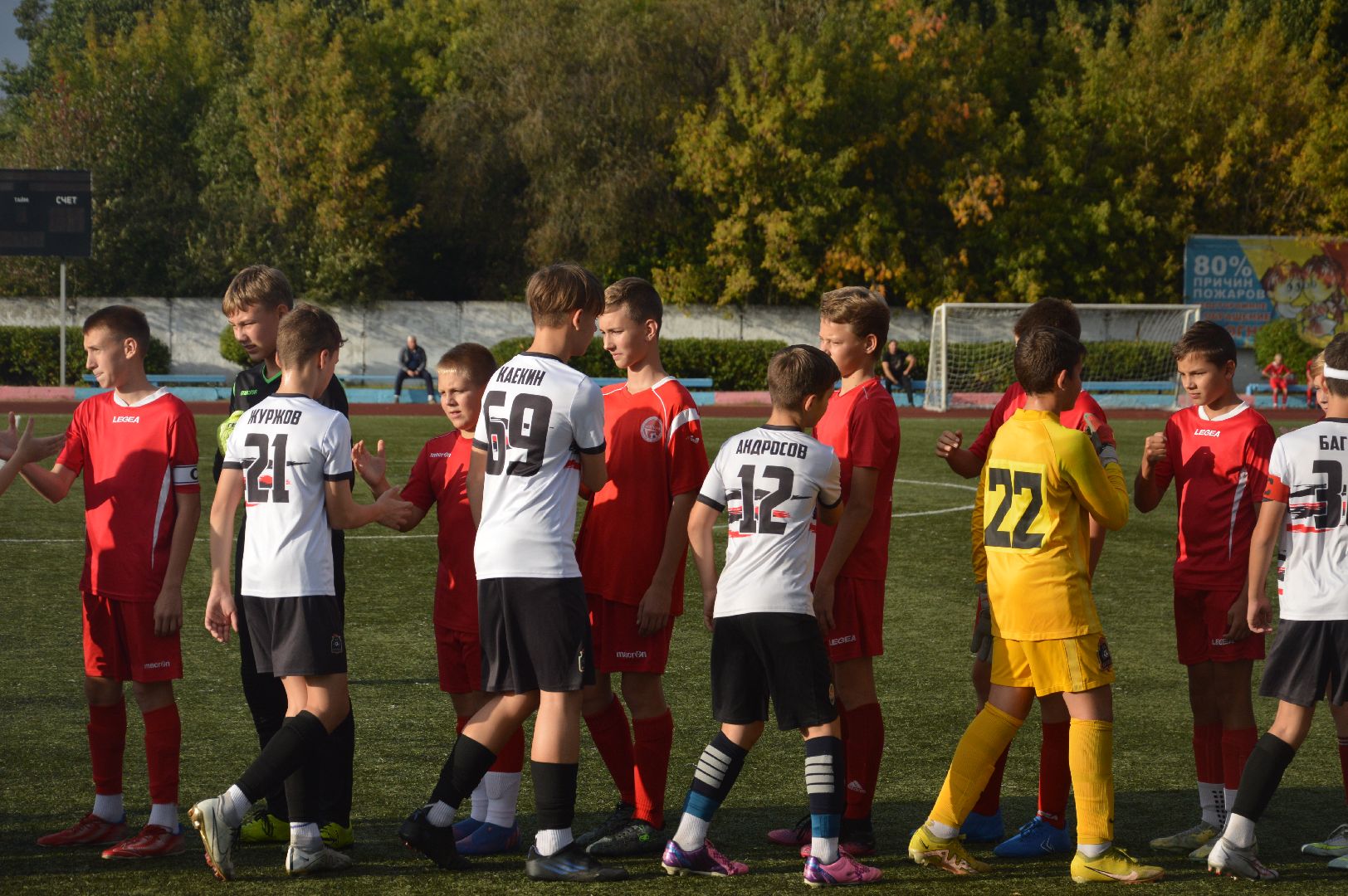 шатура, футбол, чемпионатМосковской области, Витязь, Ногинск,