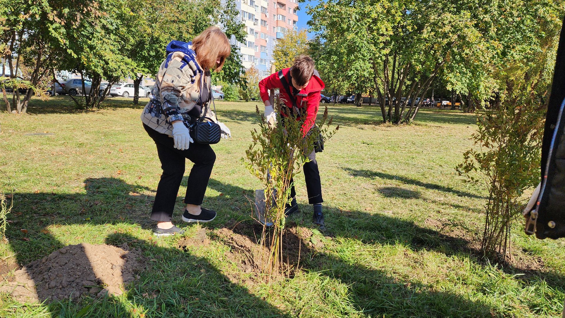 Подмосковье, городской округ пушкинский, ивантеевка, посади свое дерево, дети,