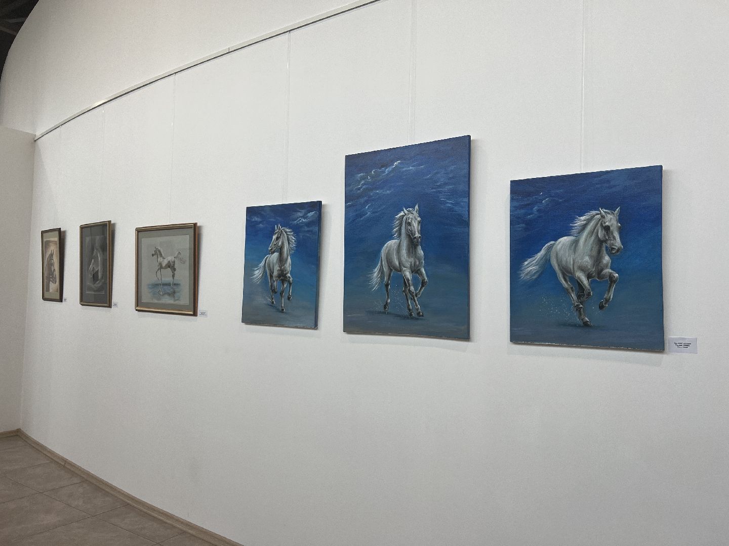 химки, культура, музей, лошади, картины,