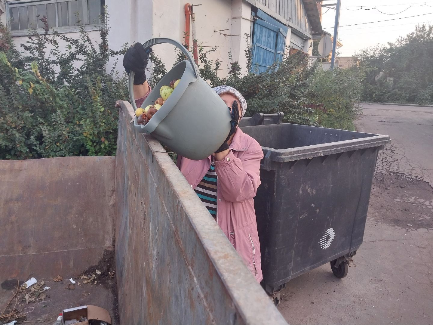 Коломна, ЖКХ, переработка, мегабак, урожай,