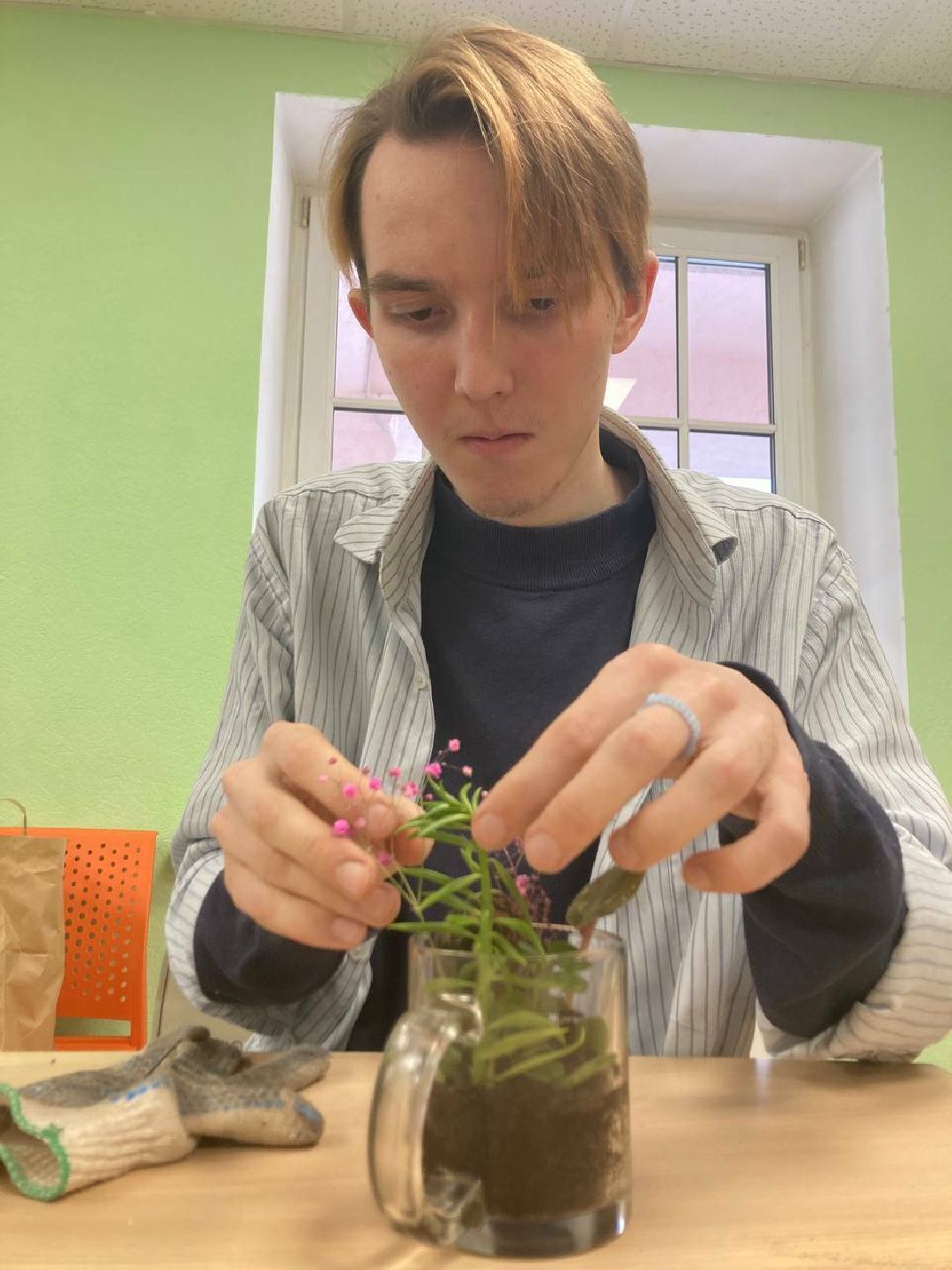 Клин, Волонтеры