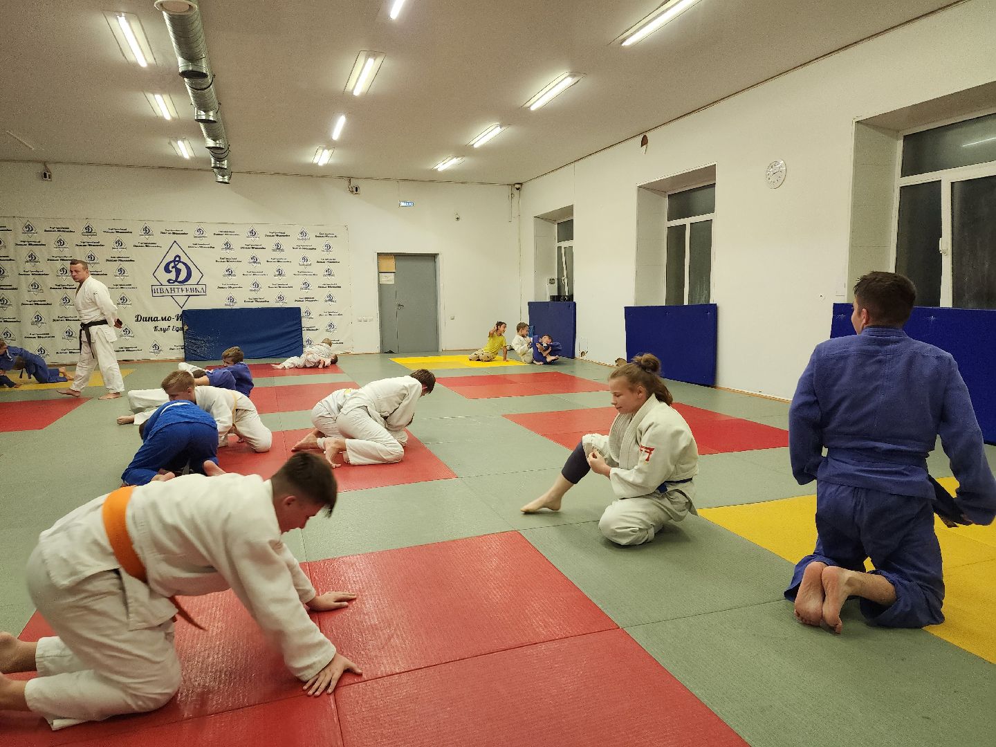 спорт, дзюдо, ивантеевка, медаль,