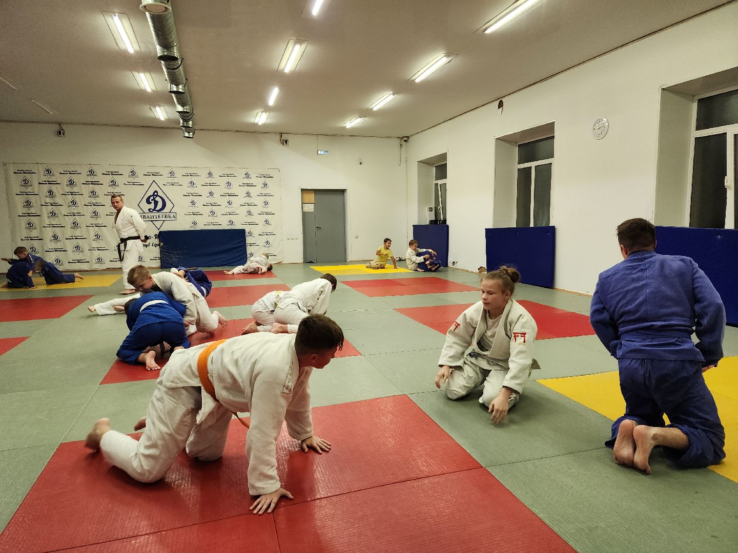 спорт, дзюдо, ивантеевка, медаль,