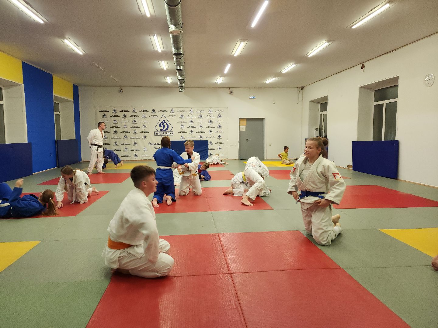 спорт, дзюдо, ивантеевка, медаль,