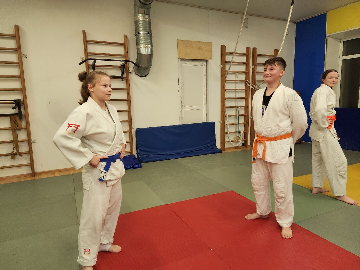 спорт, дзюдо, ивантеевка, медаль,