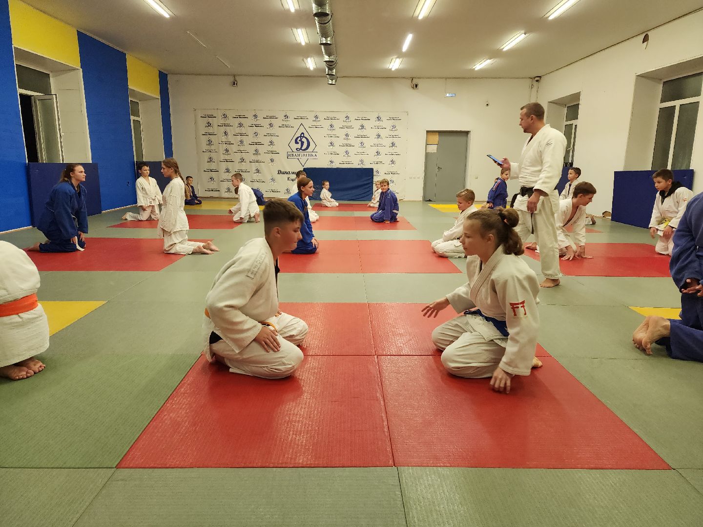 спорт, дзюдо, ивантеевка, медаль,