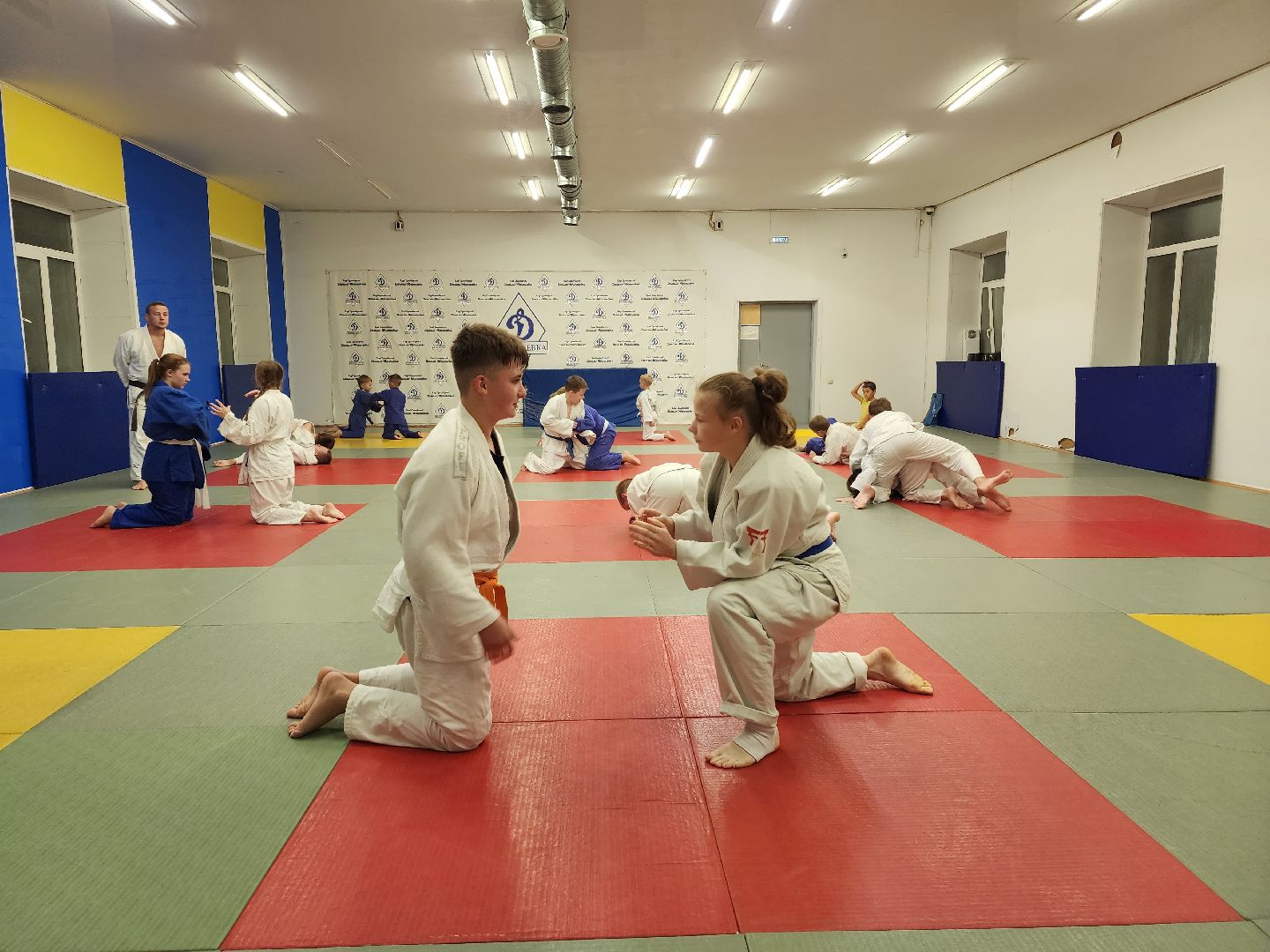 спорт, дзюдо, ивантеевка, медаль,